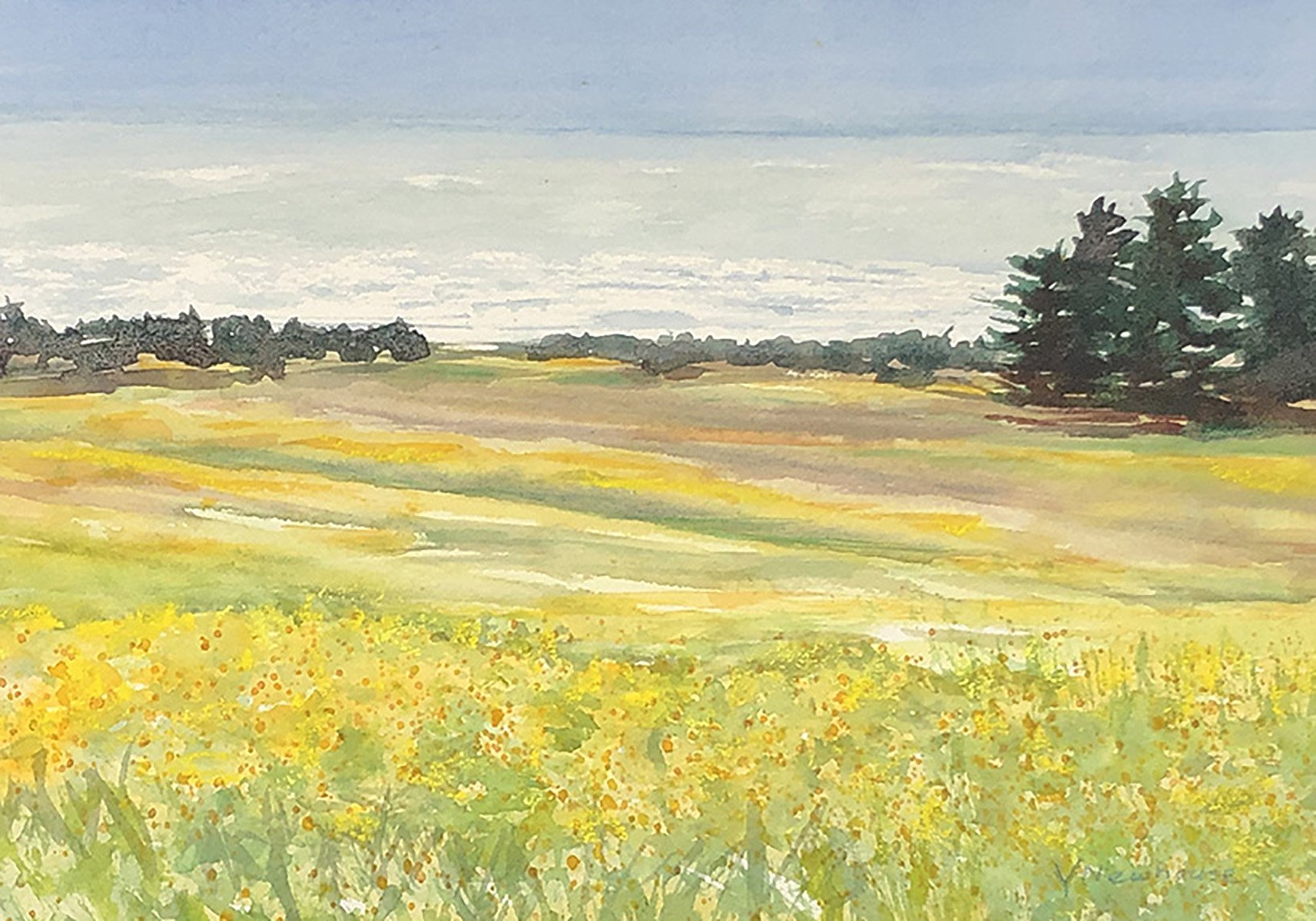 Spring at Hill Farm Pescadero - Yvonne Newhouse 