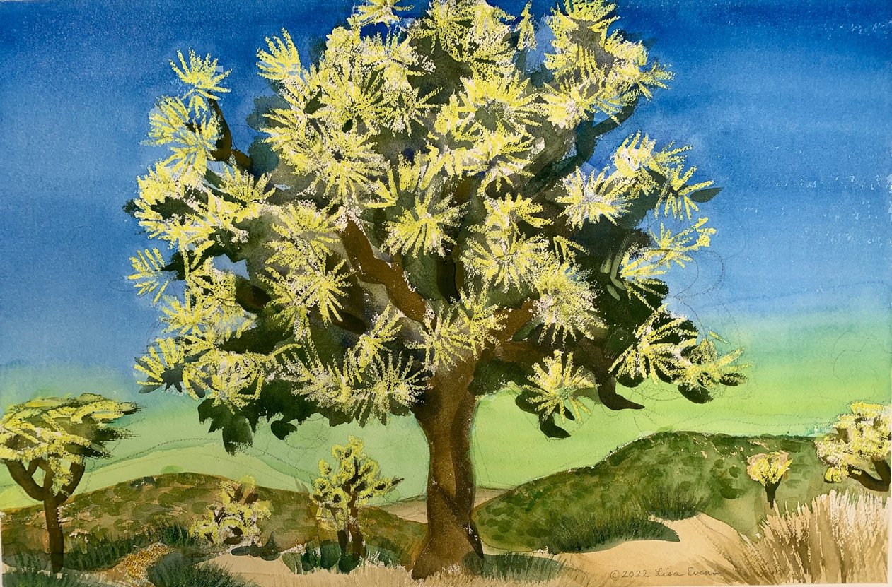 Desert Tree of Life - Lisa Evens 