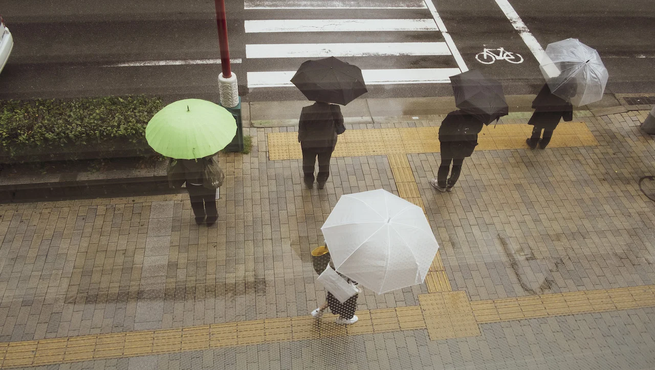 COMMON COURTESY_3.jpeg