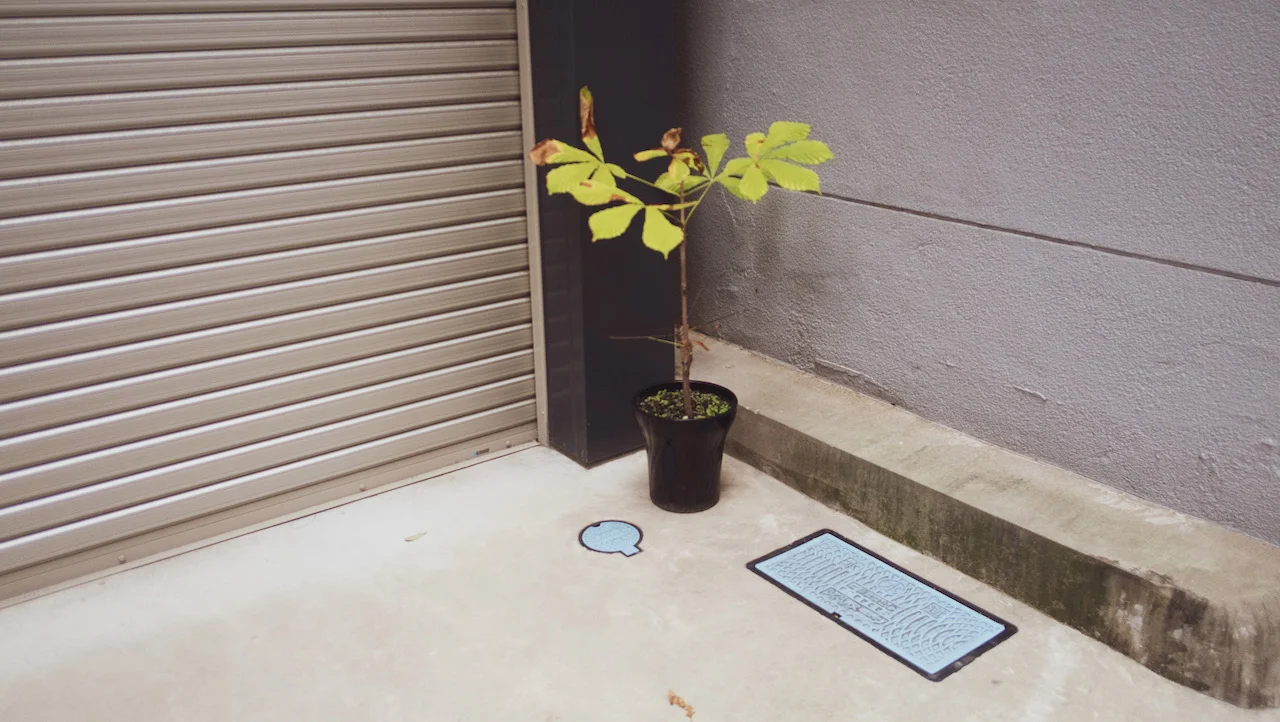 COMMON COURTESY_22.jpeg