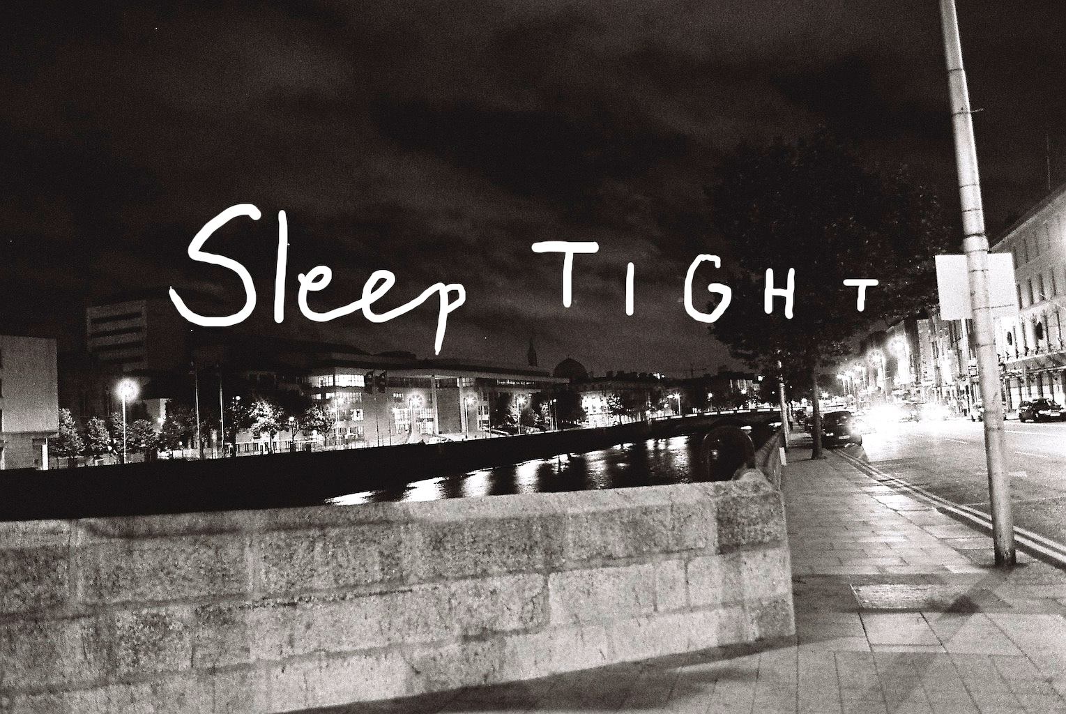  The full walk of the Quays on both sides of the river takes about 80 minutes if you’ve pushed yourself. I try to push. I try to catch the Heron bird feeding on low tide fish. She’s from Dublin Zoo, she told me. 