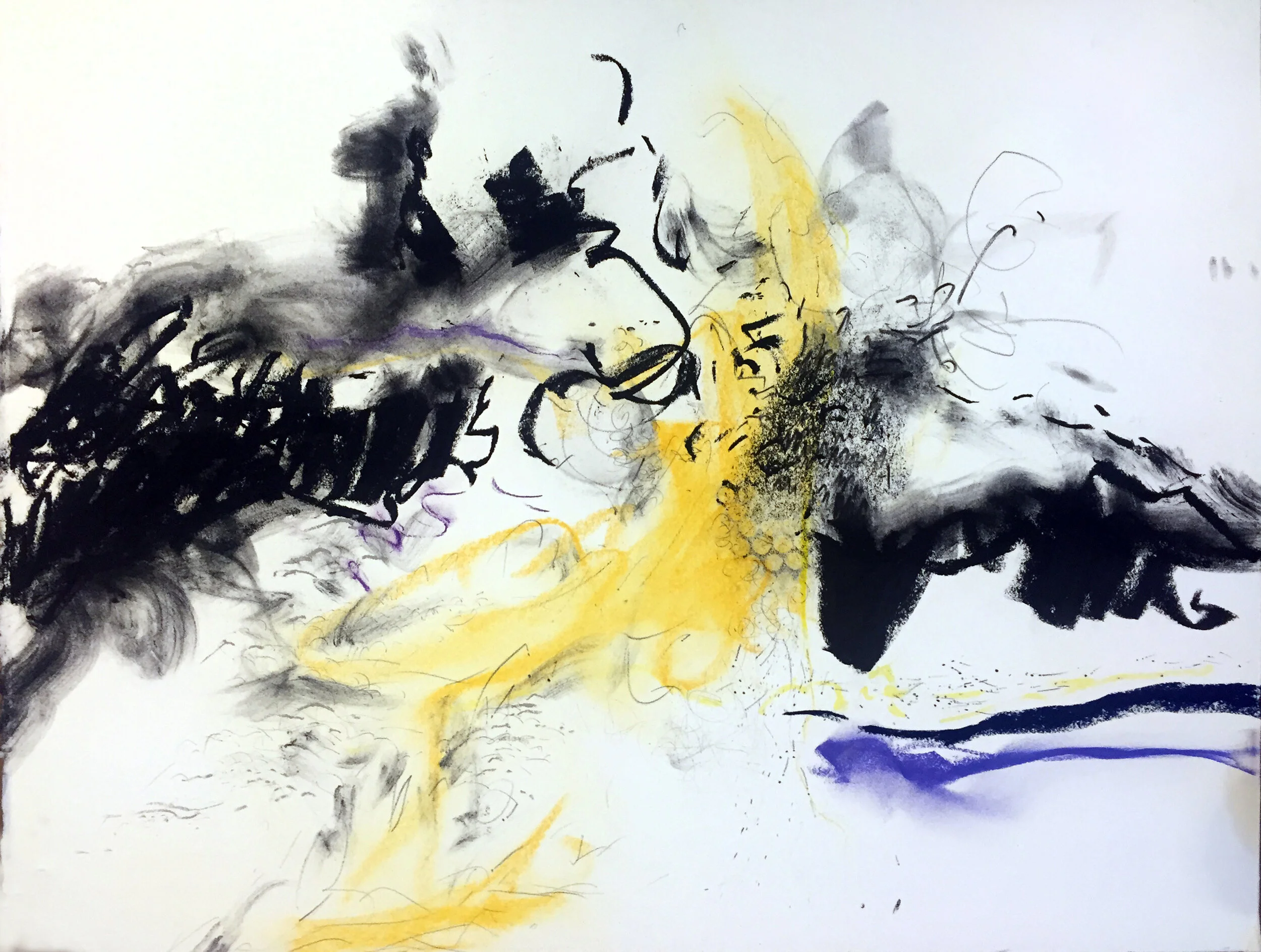 Barbara Burgess Maier