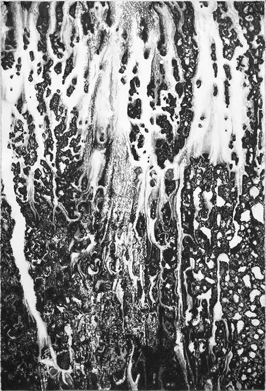 Letting Go, 44” x 30”, charcoal, pastel, 2025