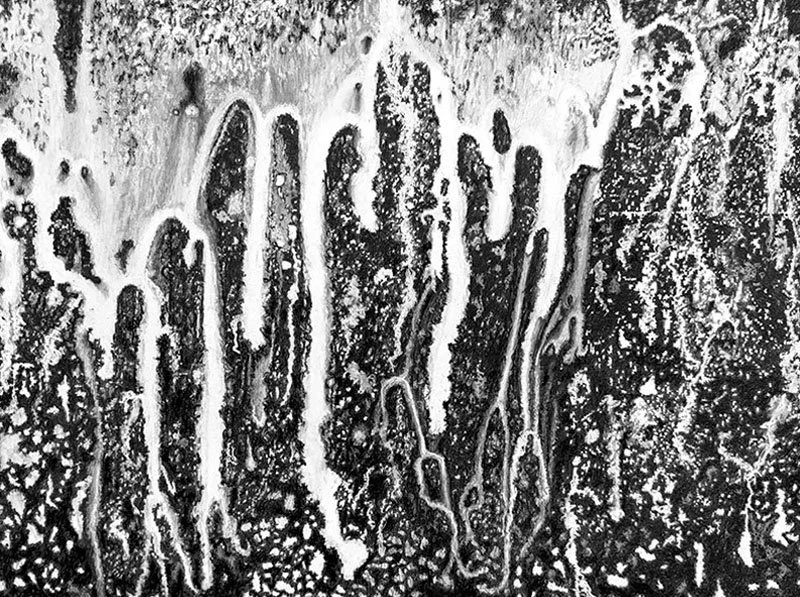 Spillover, 22 x 30 inches; charcoal, pastel, 2025