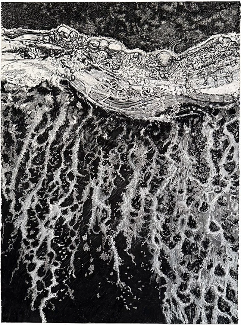 BENEATH THE SURFACE, 30 x 22 inches, charcoal, pastel, 2025