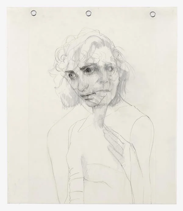Lost and Found, graphite on Duralar and paper, 33x24, 2022