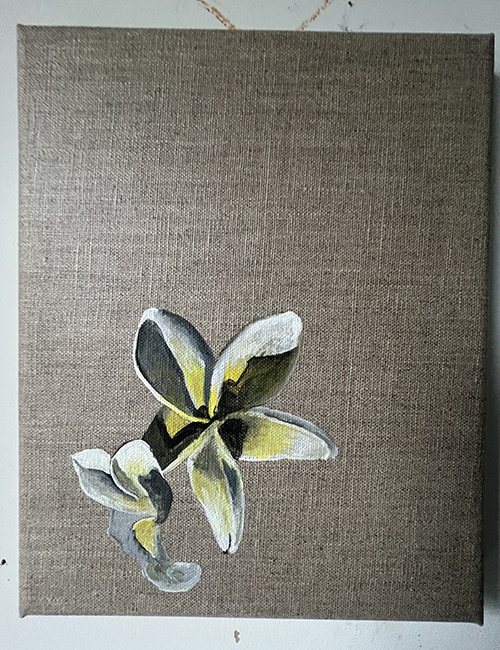 23 Roberts_Study_Plumeria.jpg