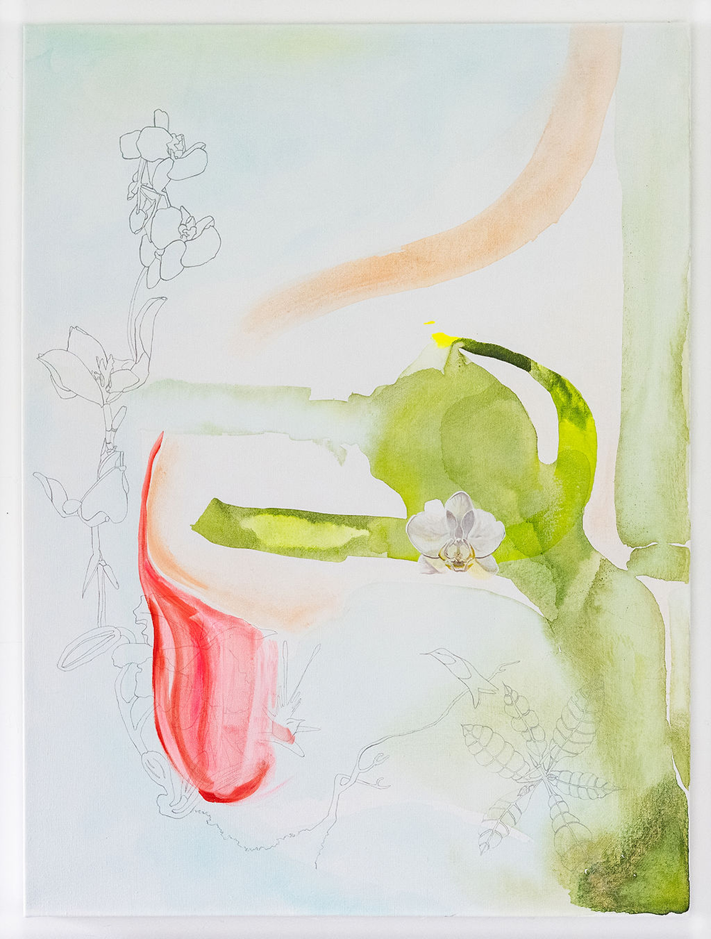 Swept Away [Orchids and Hummingbirds]      acrylic on linen      40” h x 30” w				      $3400 