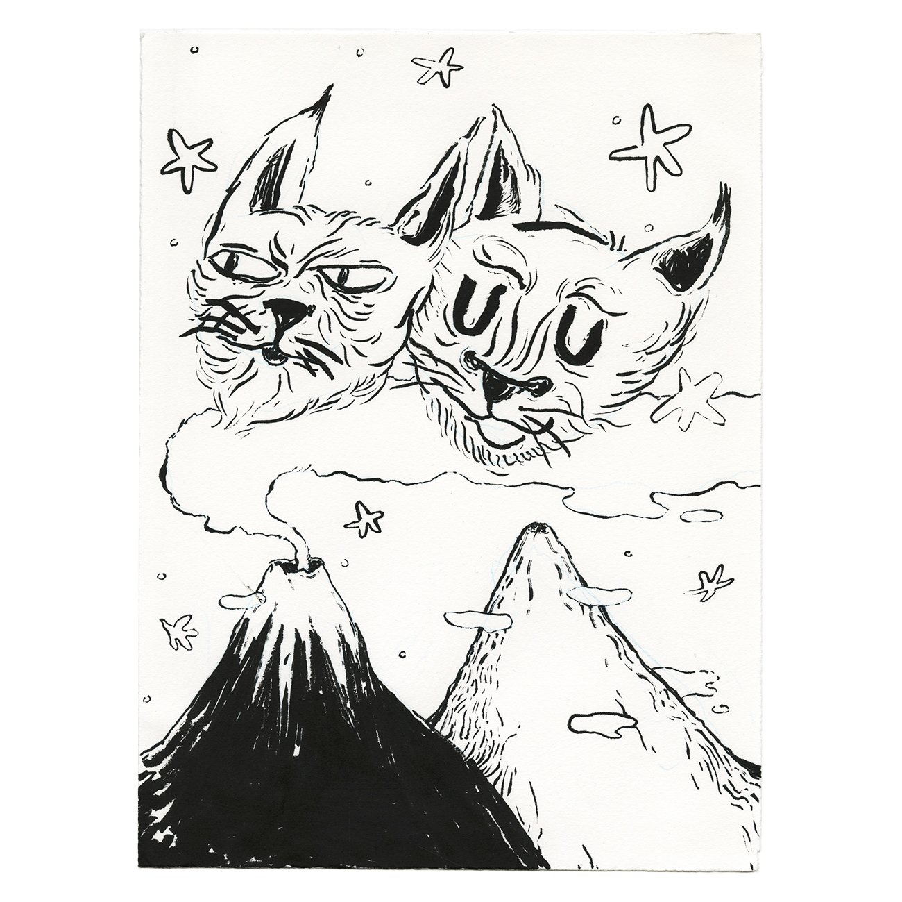 CATS smaller.jpg