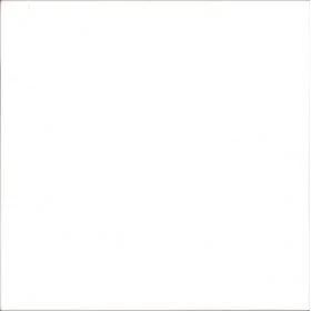 white background.jpg