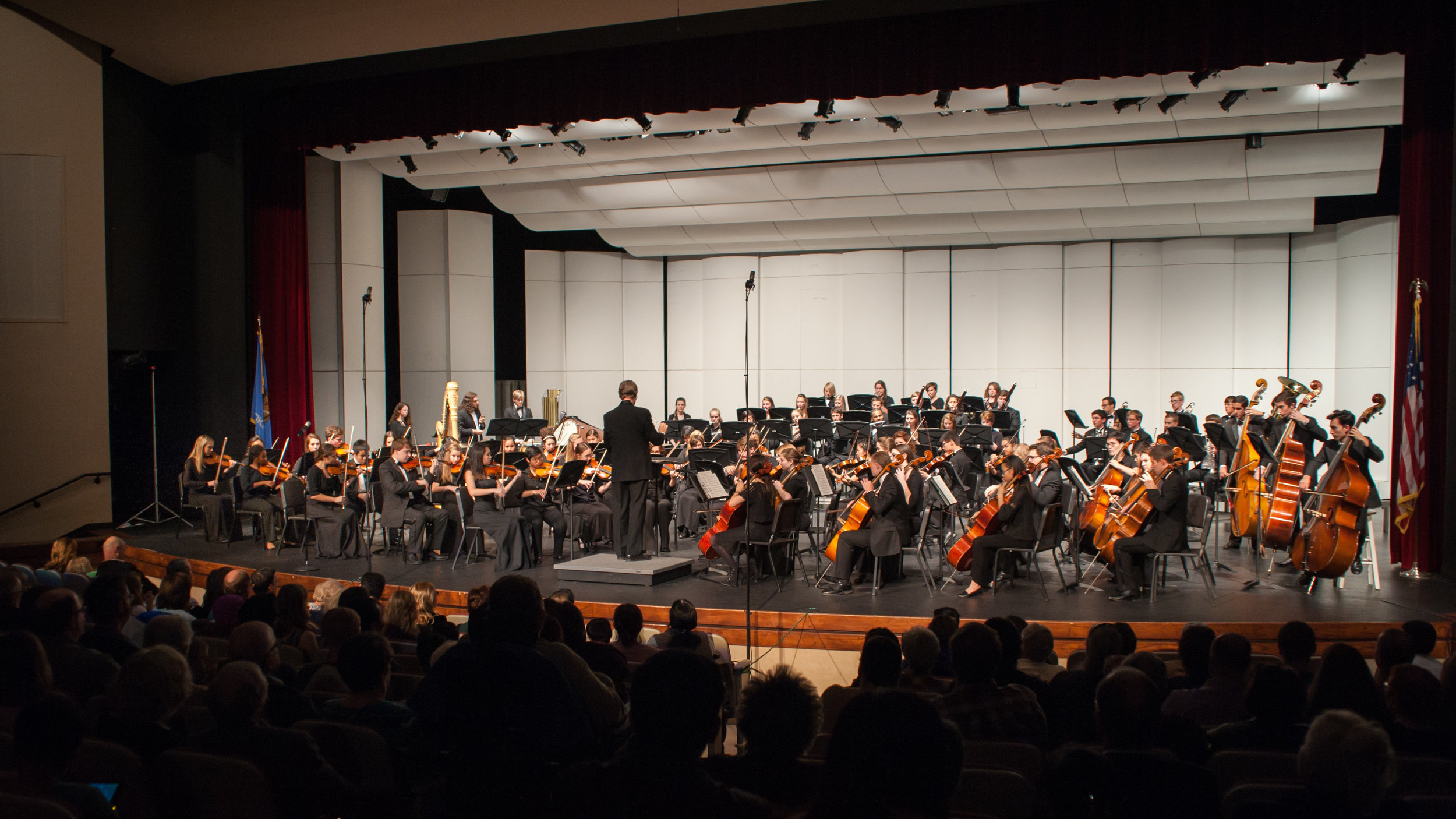 Symphony Orchestra 2015