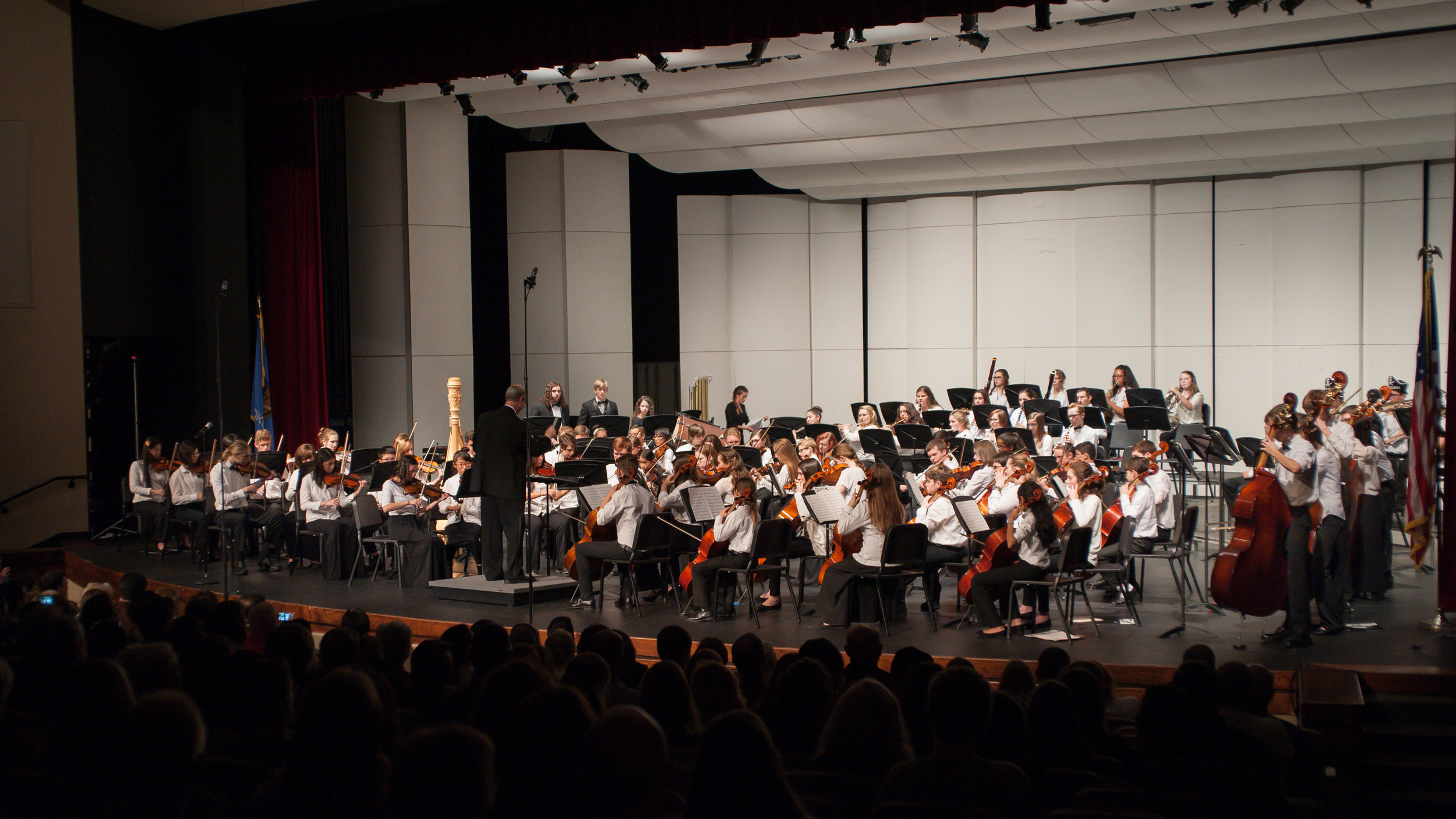 Concert Orchestra 2015