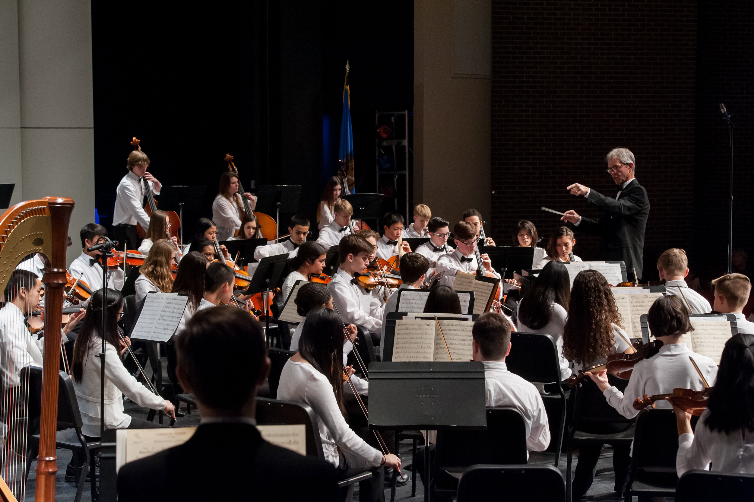 Concert Orchestra 2018
