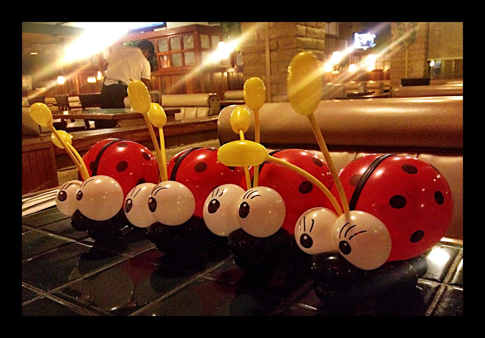 Balloon Lady Bugs.jpg