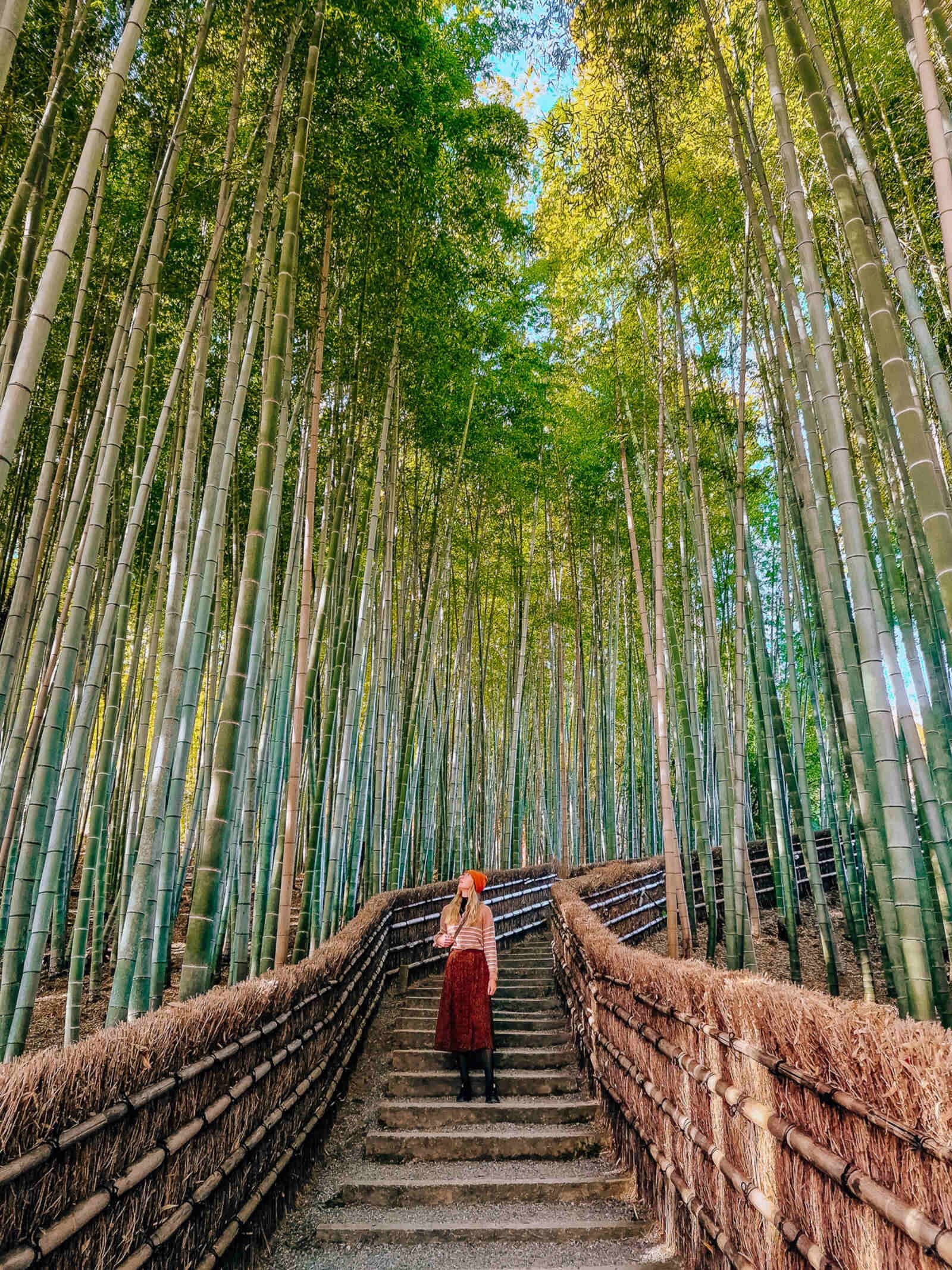 Helena standing on steps surrounded by a bamboo forest that is tall and vilbrant green