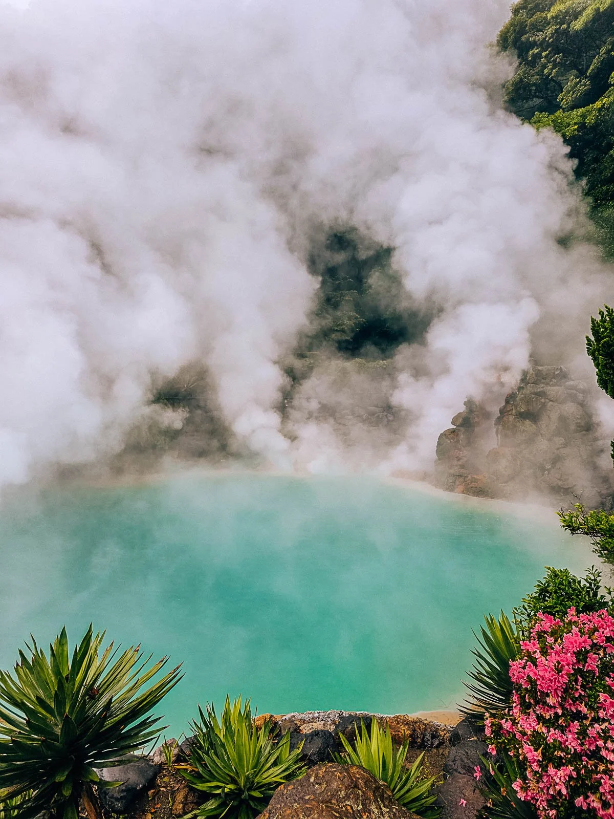 steam rising from a bright turquoise pool at Hells of Beppu surrounded by pink and green plants