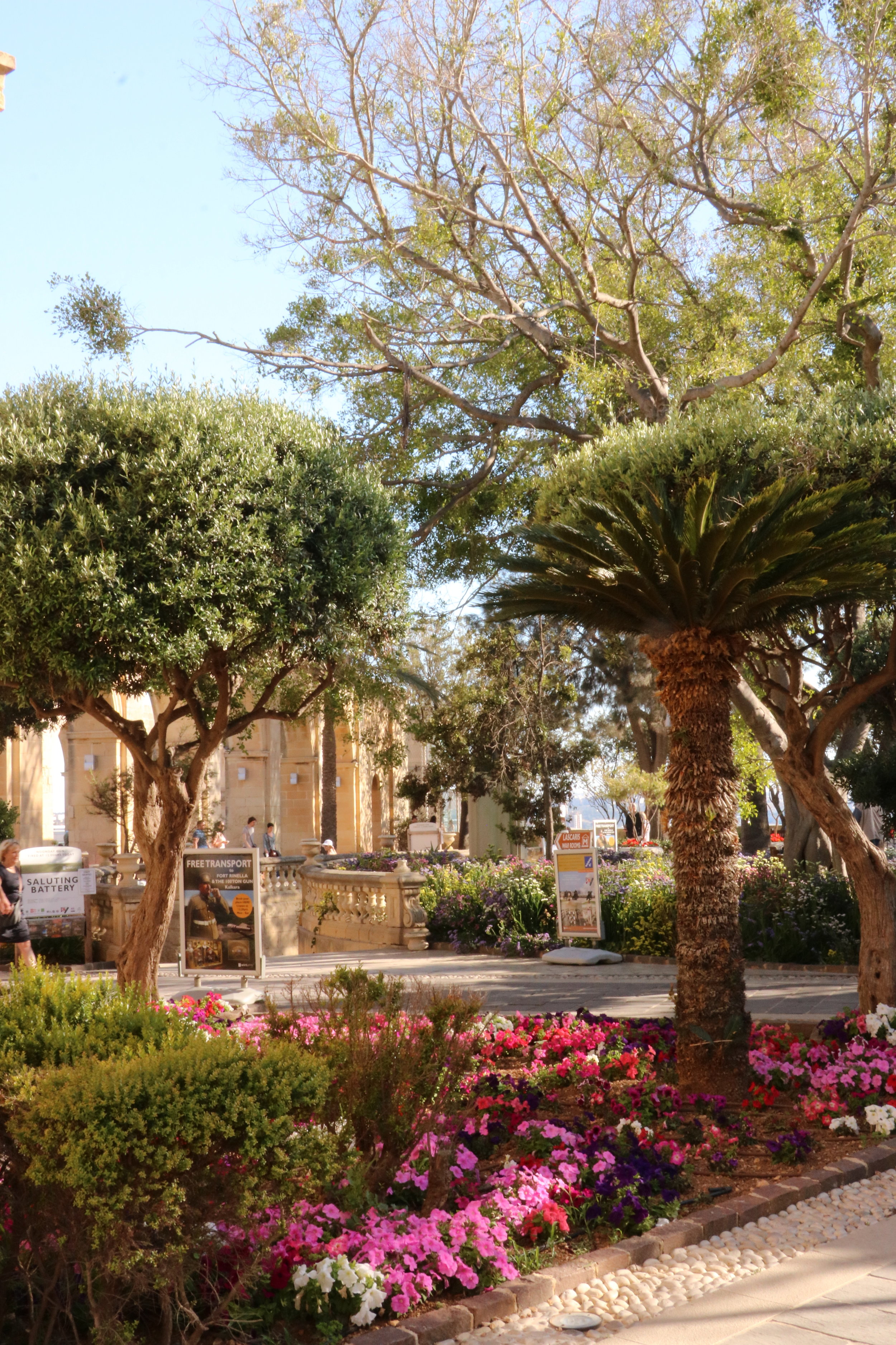 The lush Upper Barrakka Gardens of Valletta, Malta with many trees and colorful flowers