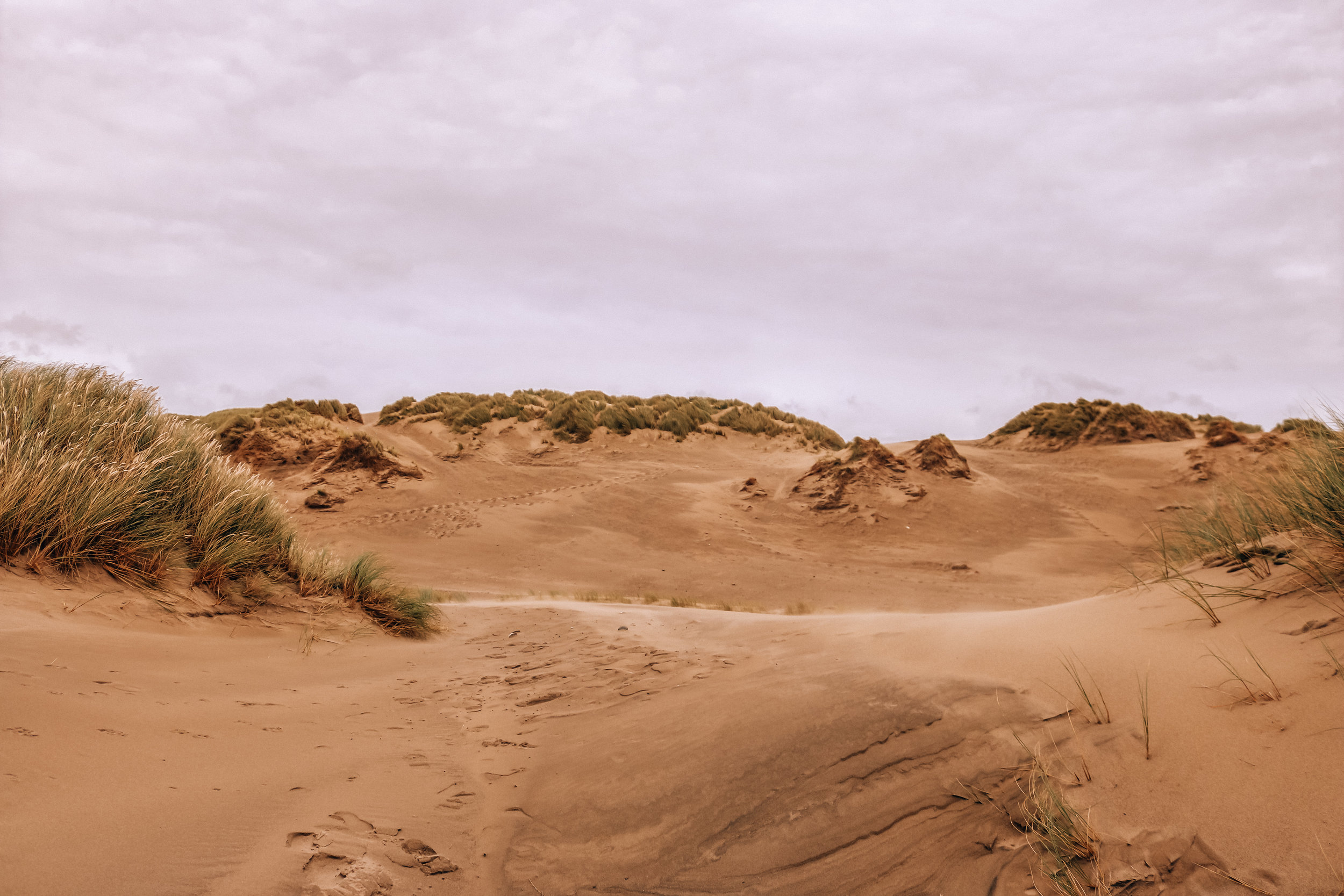 Shell Island Sand Dunes