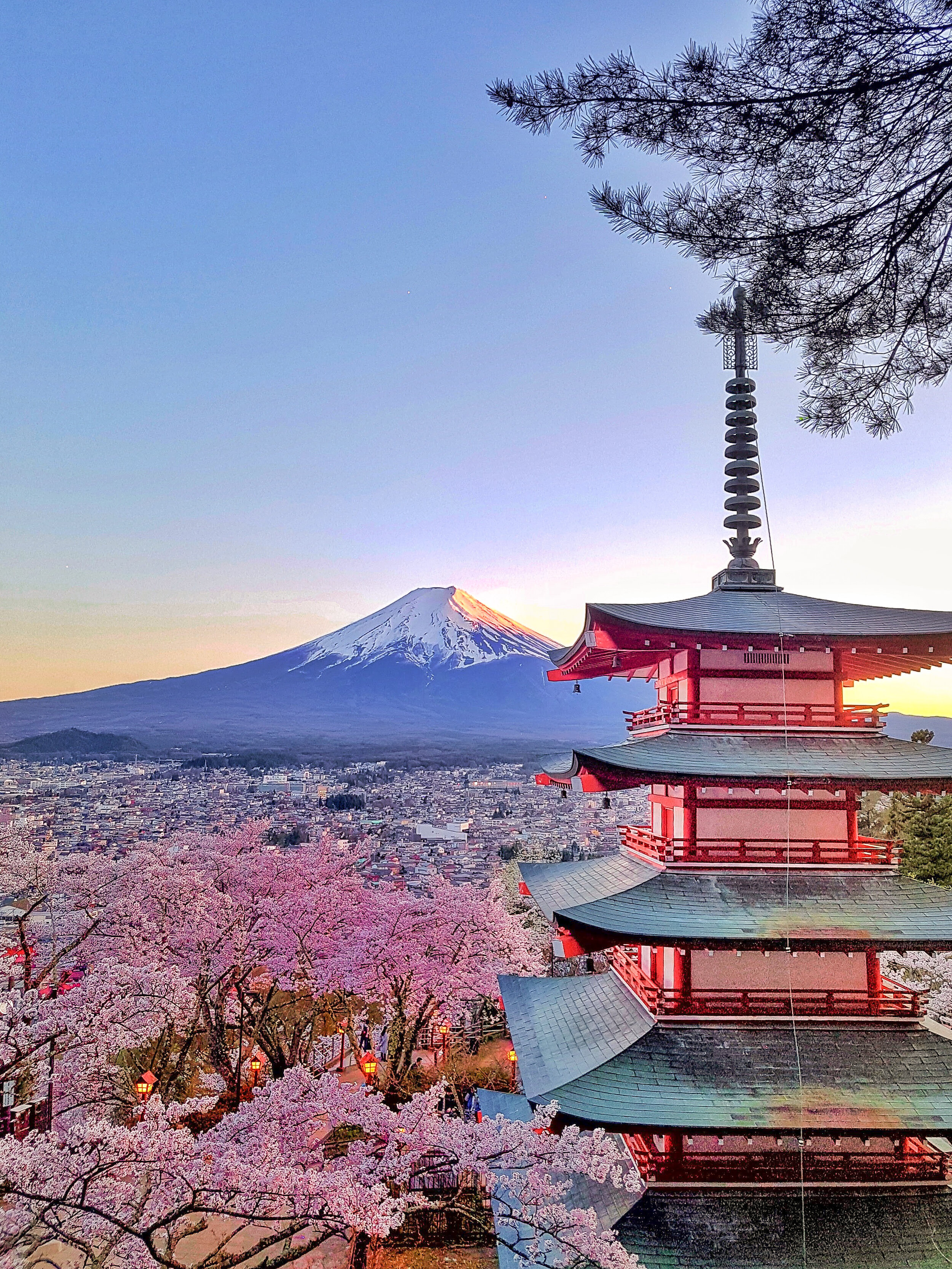 A red pagoda next to a pink cherry blossom tree with Mt. Fuji in the distance