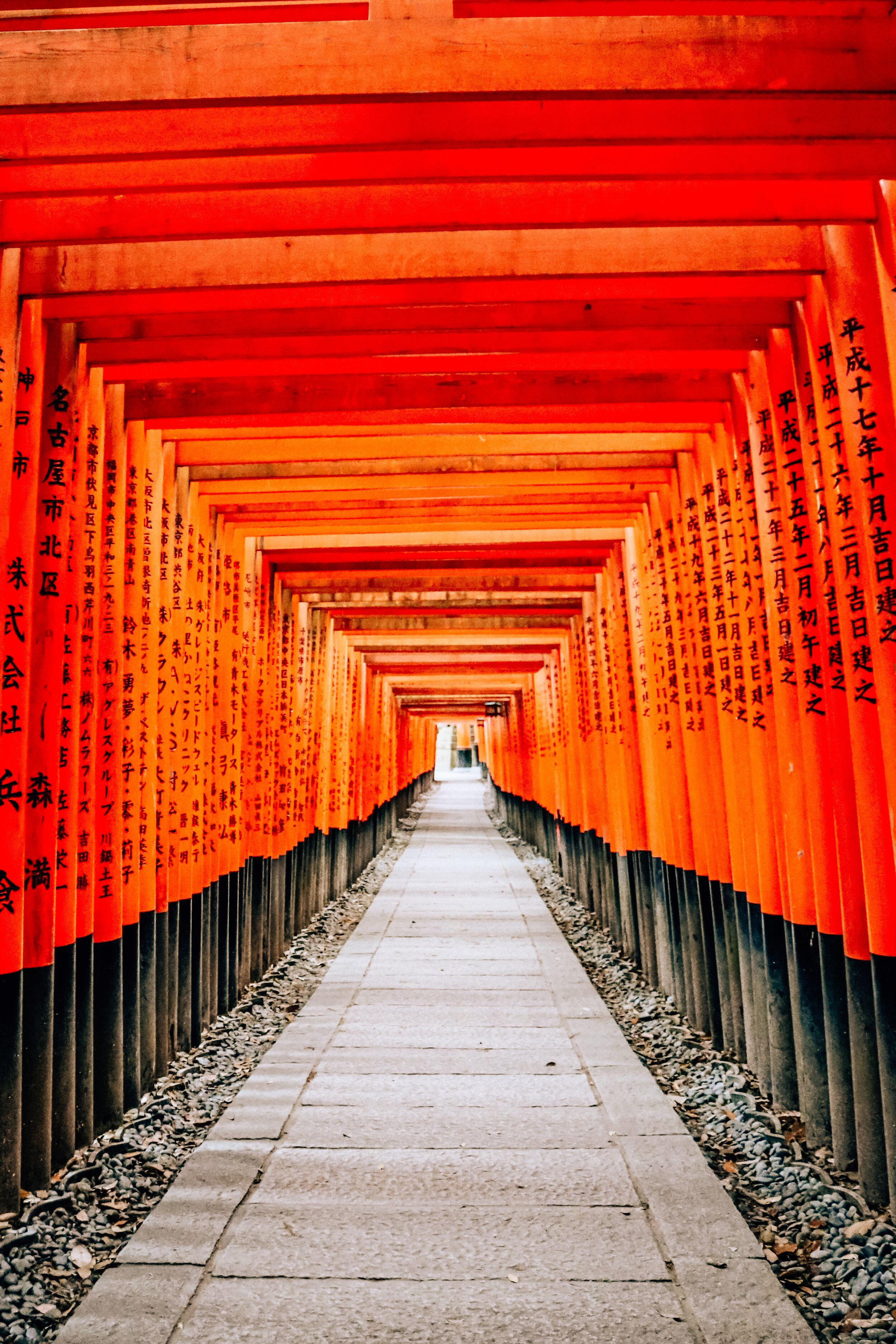 Many orange torii gates in a row with a path running through the center