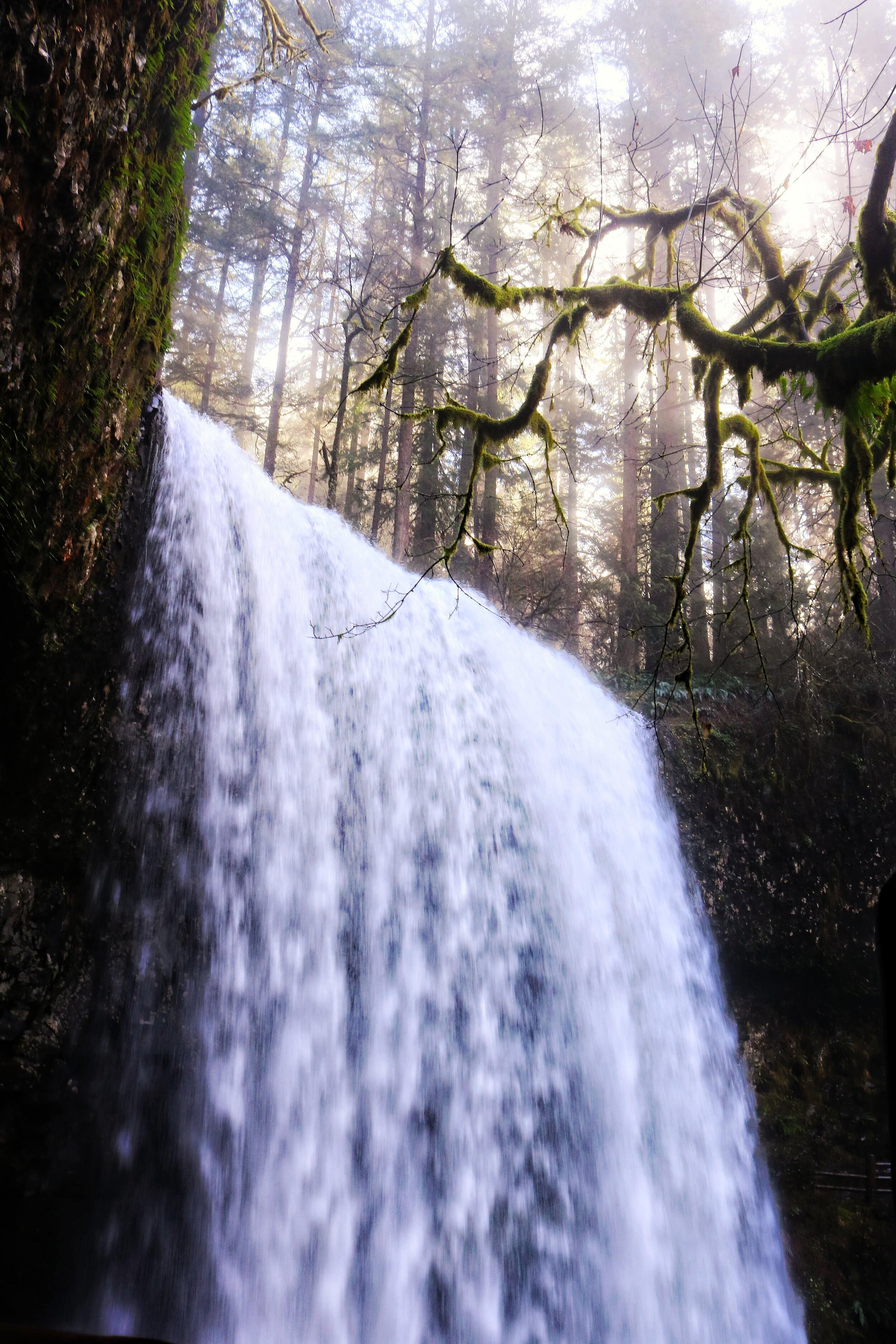 5 Of The Best One Day Trips From Portland Oregon Helena Bradbury 5 Of The Best One Day Trips From Portland Oregon Helena Bradbury