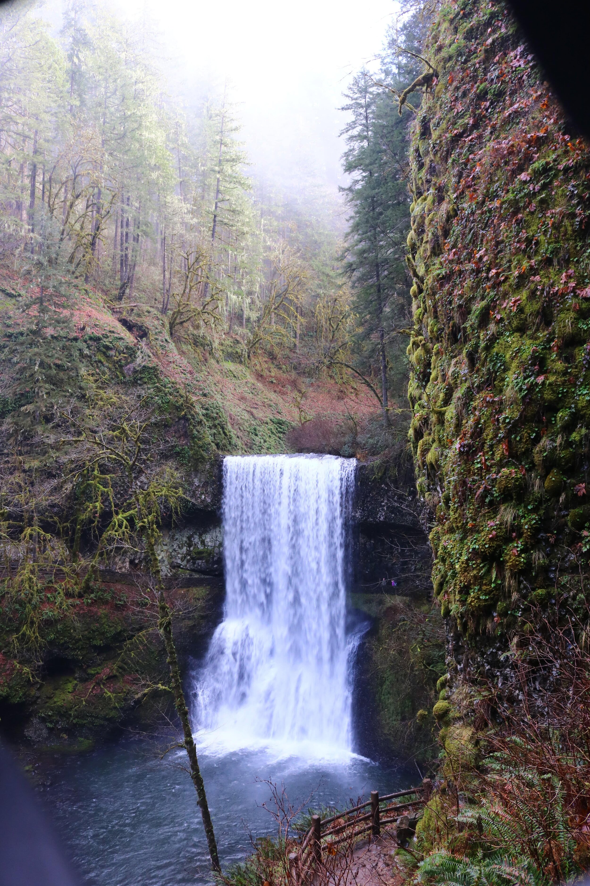 5 of the best one day trips from Portland, Oregon