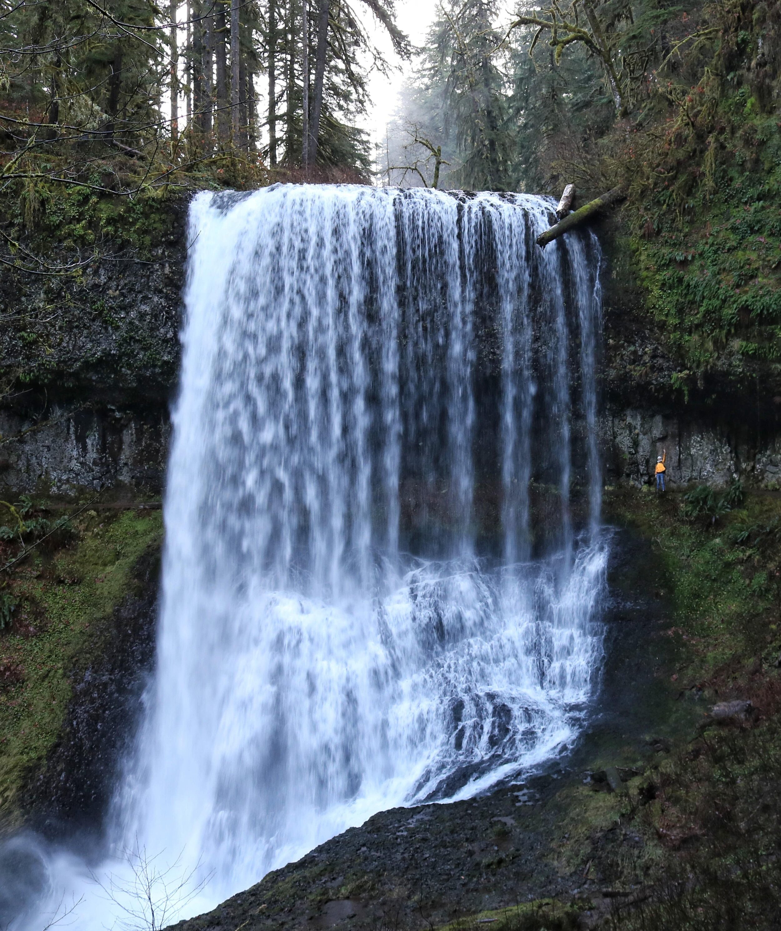 5 of the best one day trips from Portland, Oregon