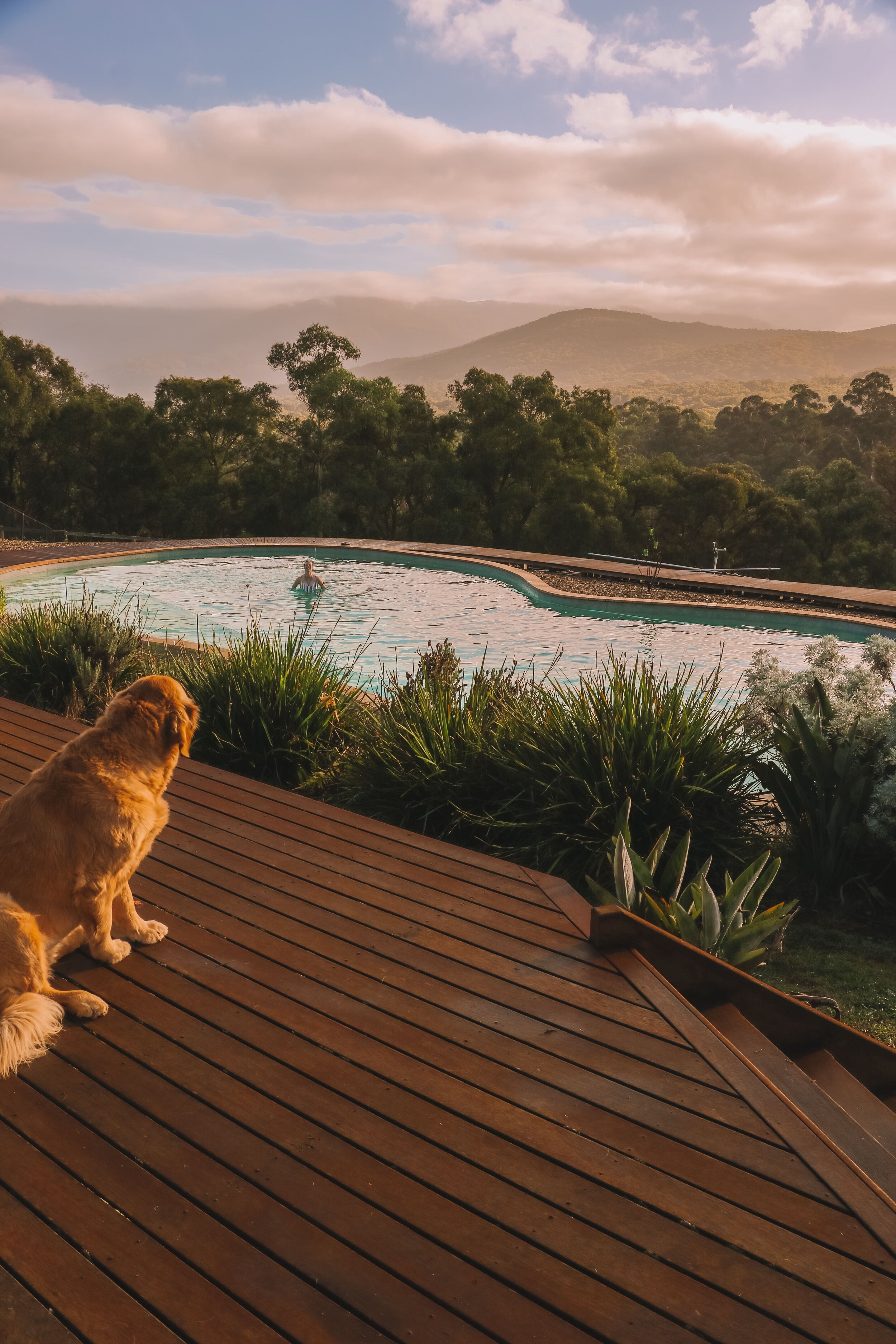 The most spectacular Yarra Valley Lodge you have to stay in: Yarra Valley accommodation | Where to stay Yarra Valley | Yarra Valley hotel | yarra valley travel | 5 star accommodation Yarra Valley | luxury escapes Yarra Valley | Yarra Valley boutique…