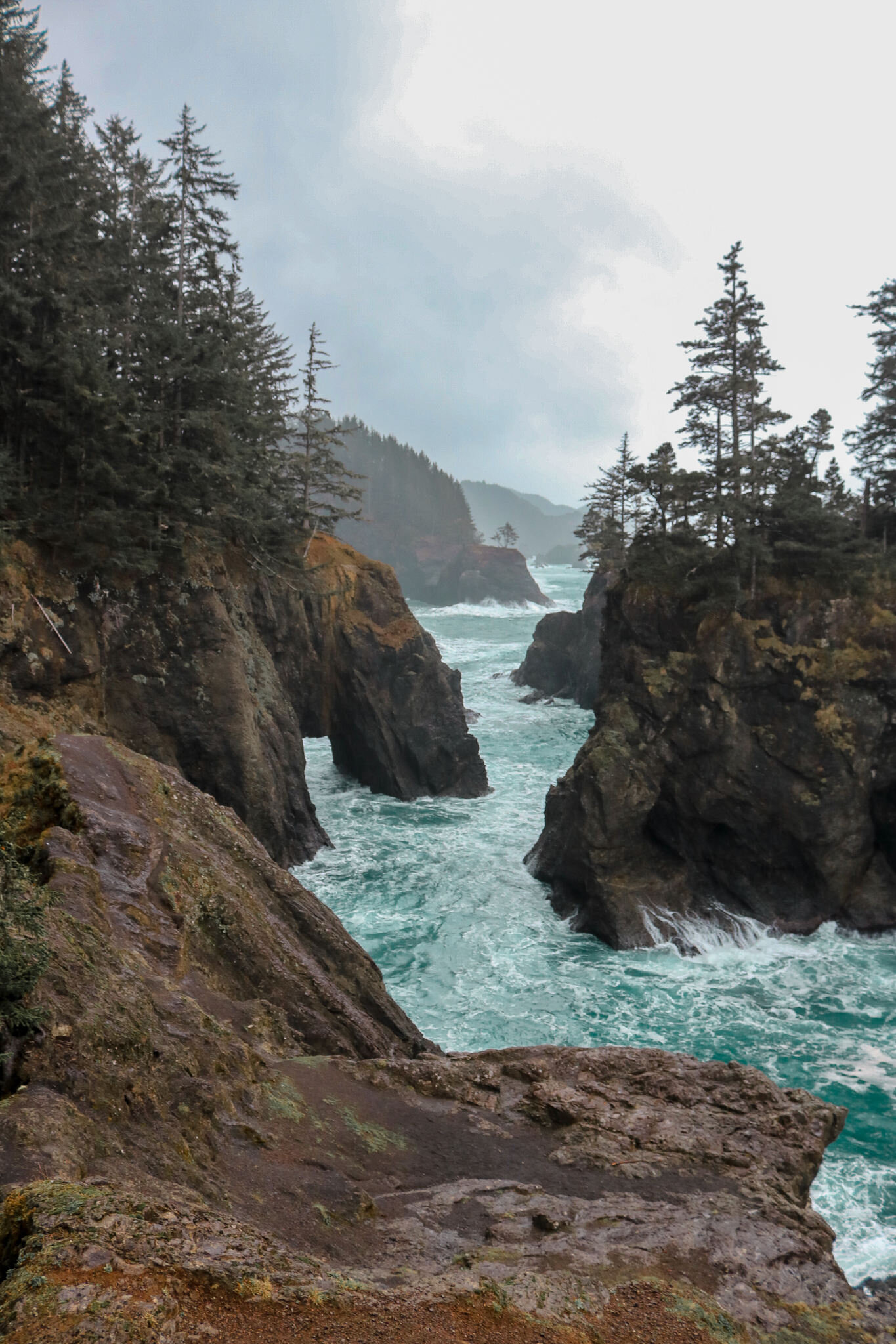 A moody scene looking along a misty coast with lots of jagged rocks and cliffs, a natural arch has formed and the ocean is a dark turquoise, Oregon Coast view Samuel H Boardman