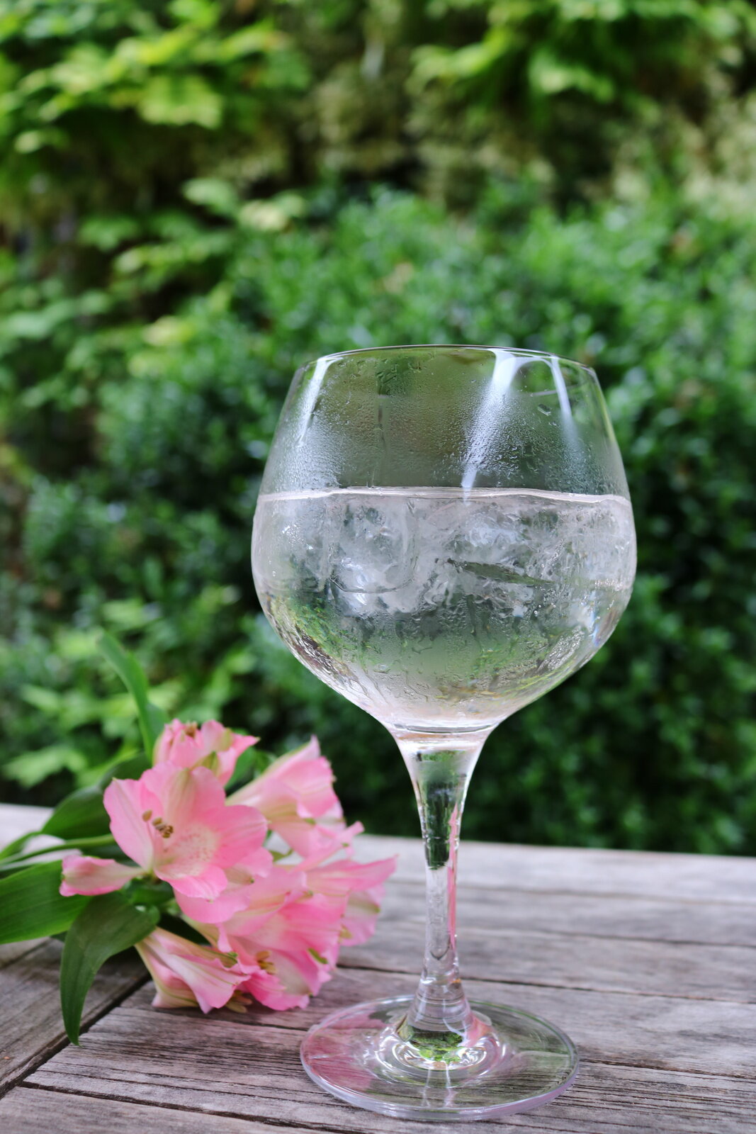 a glass of Cotswolds gin and tonic at the Plough Inn