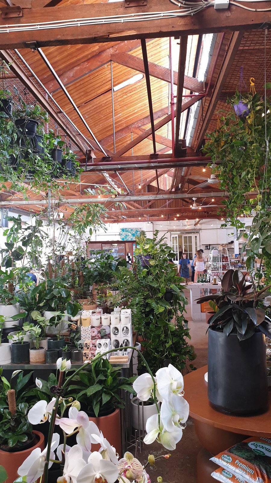 The plant nursery and restaurant at CIBI