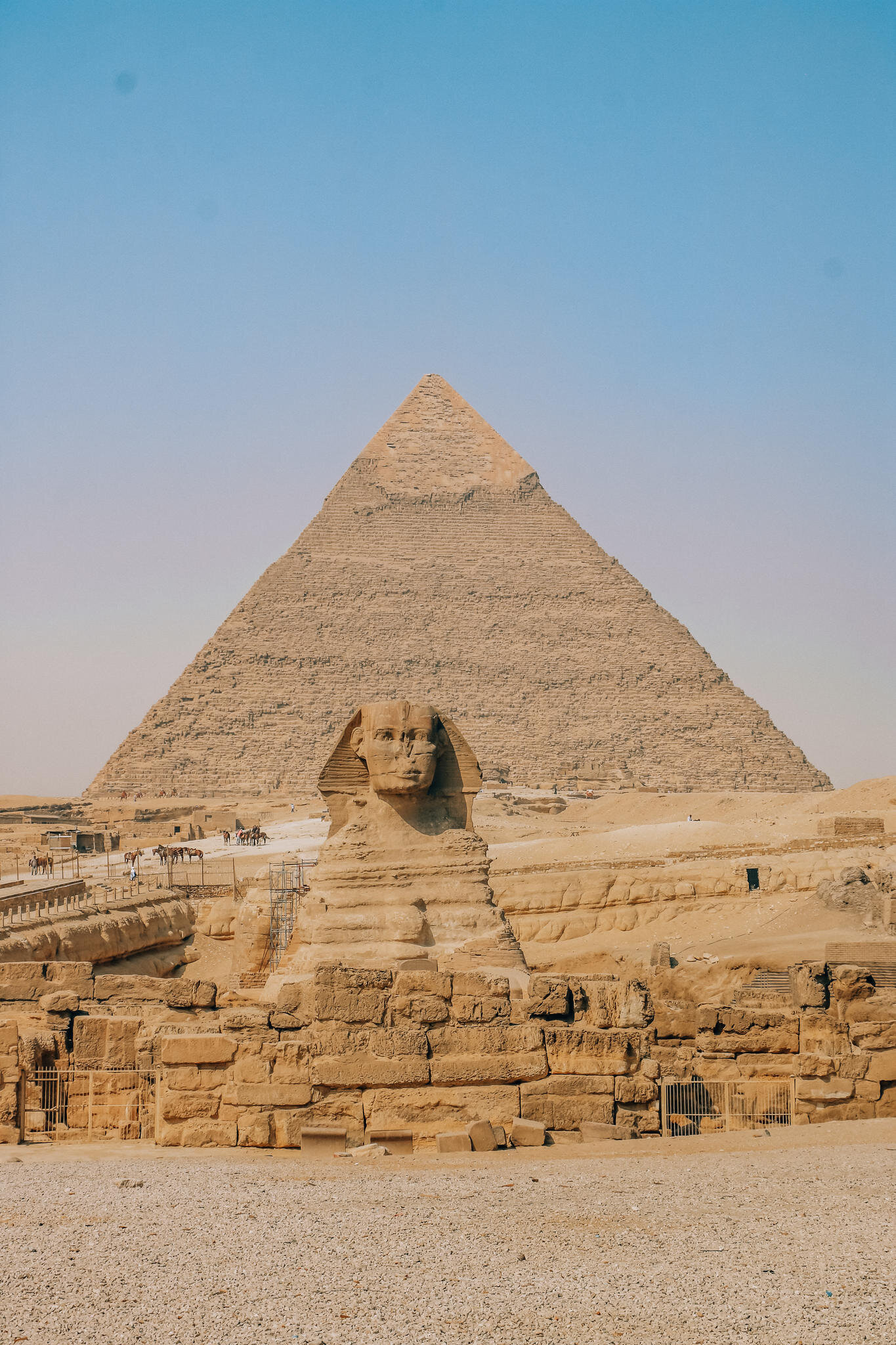 Sphinx and pyramid in cairo egypt