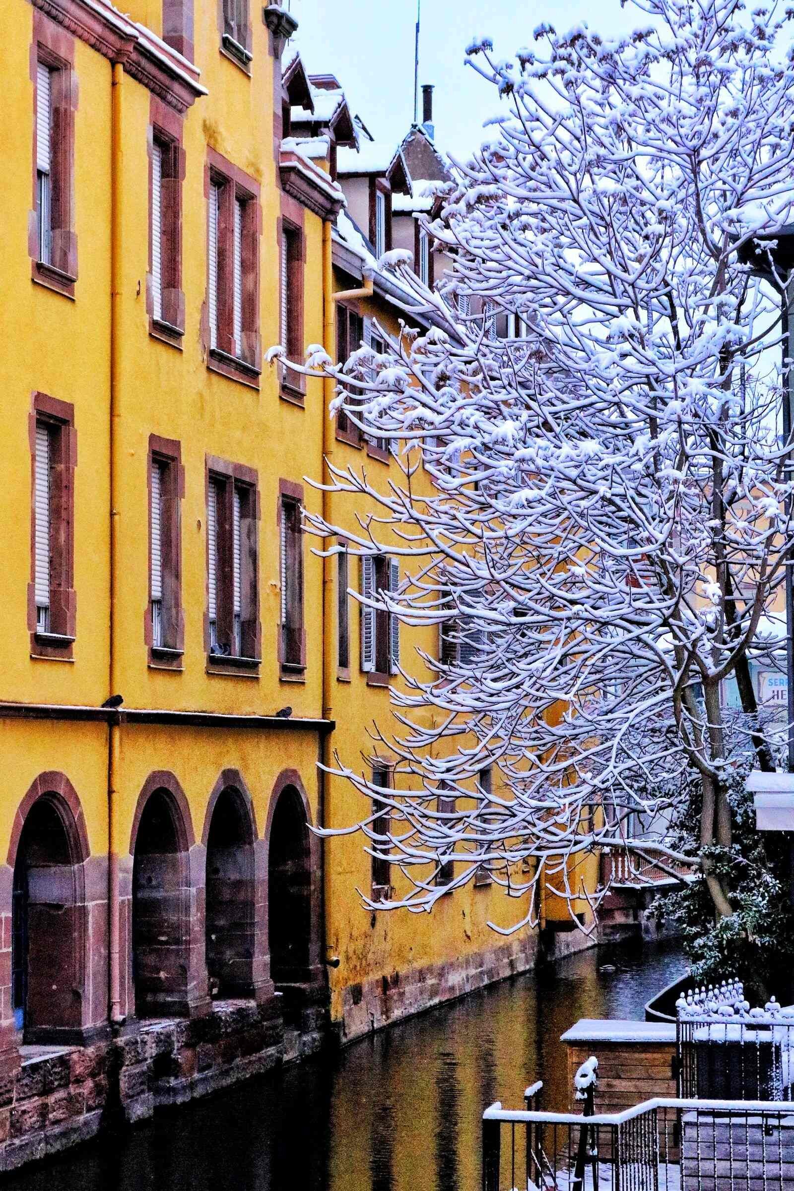 Colmar in winter