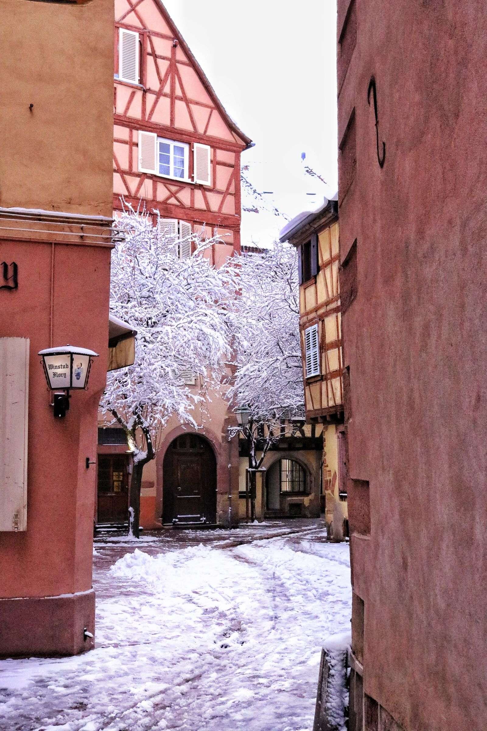 Snow covered streets and trees Colmar Alsace