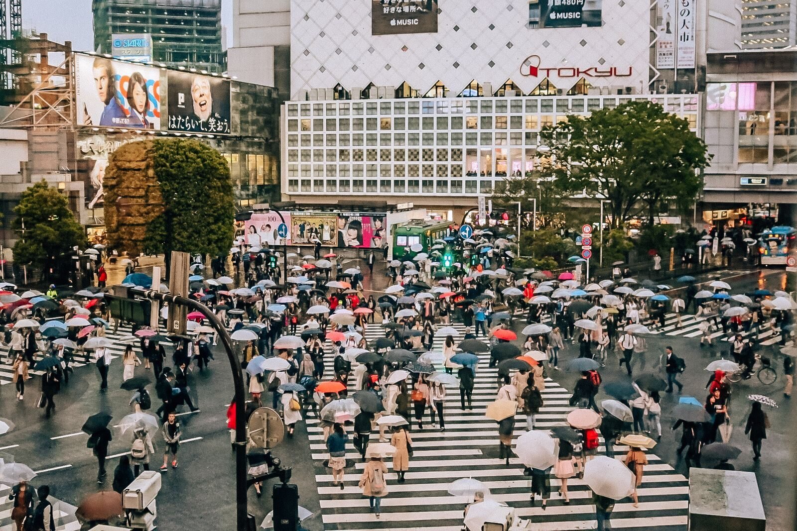 Many people with umbrellas crossing the road at Shibuya Crossing in Tokyo