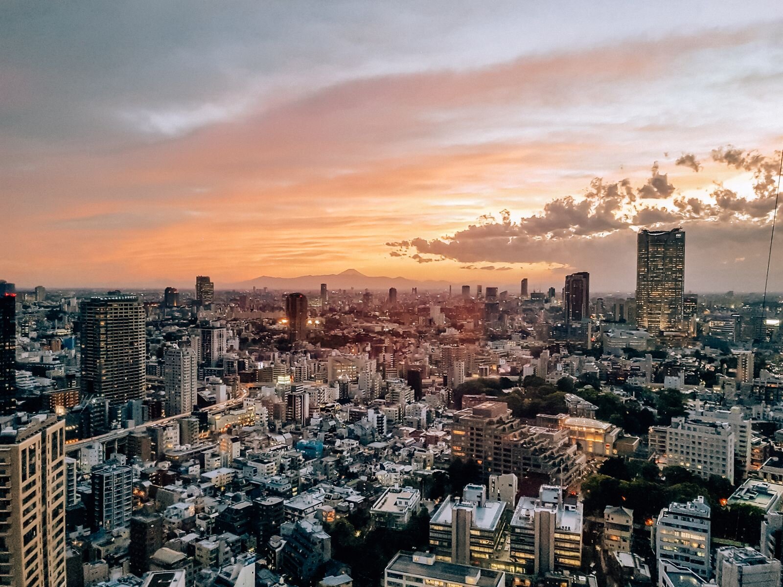 The many buildings stretching into the distance at sunset of the Tokyo skyline