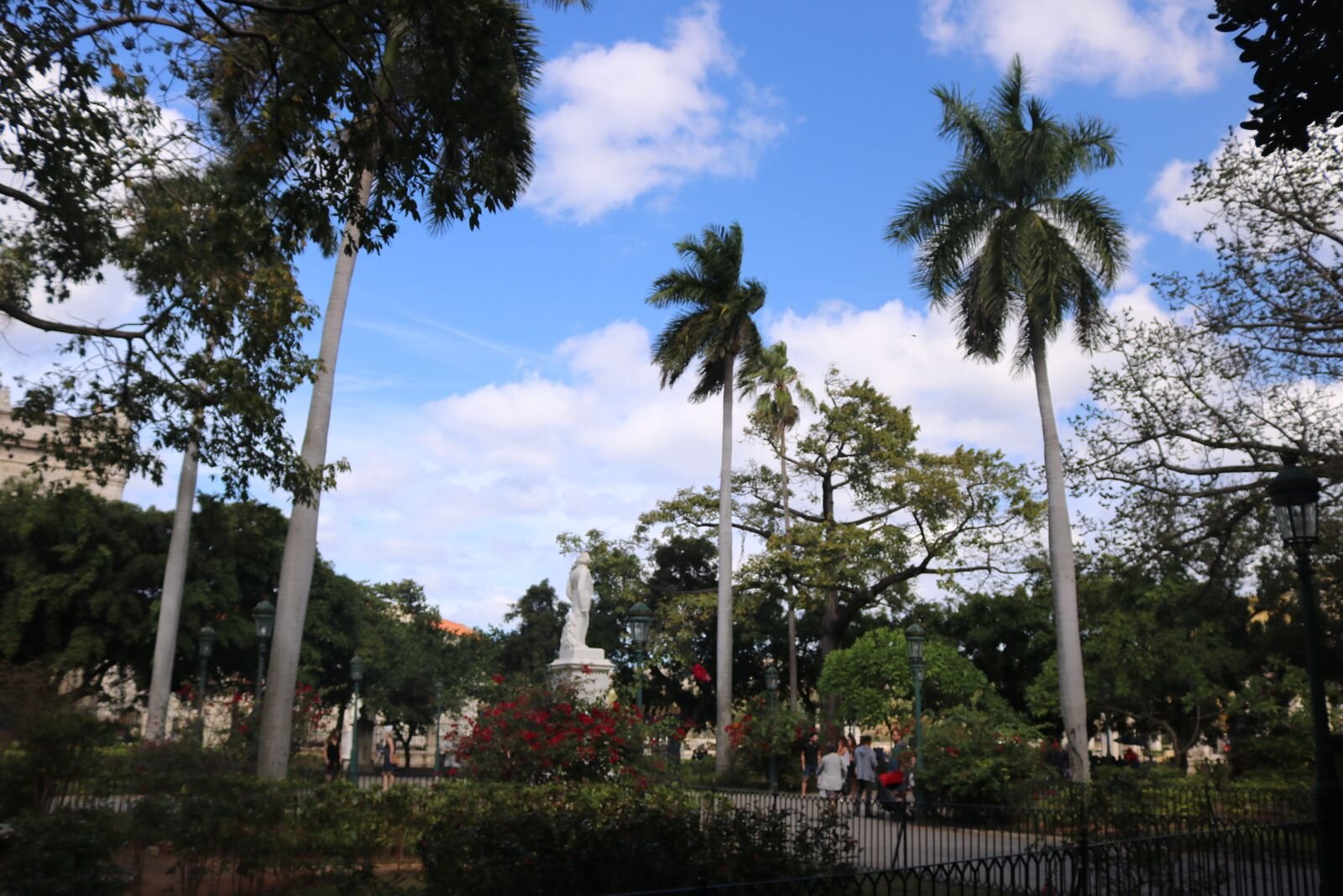 Park in Havana Cuba