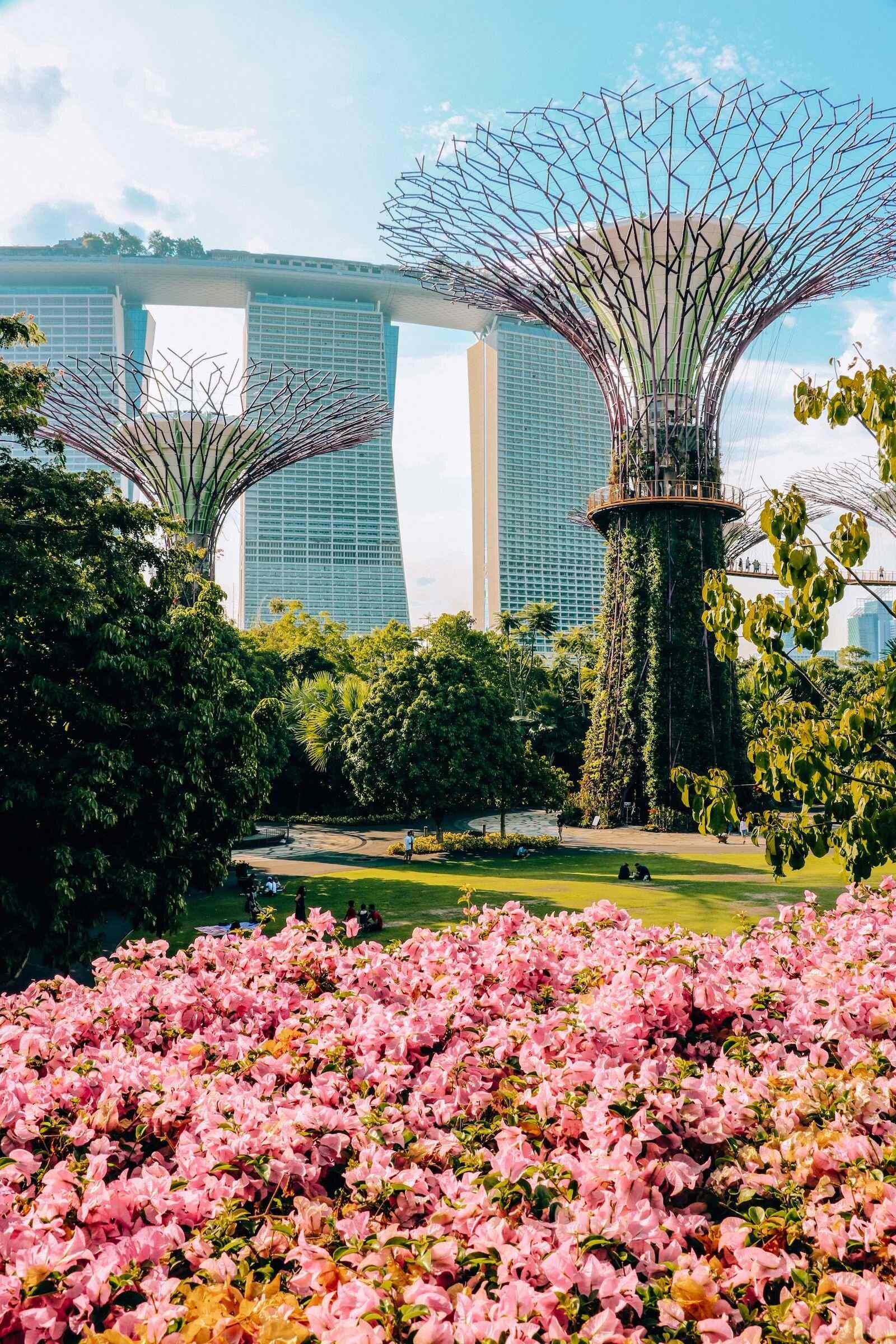 Gardens by the Bay and Marina Bay Sands