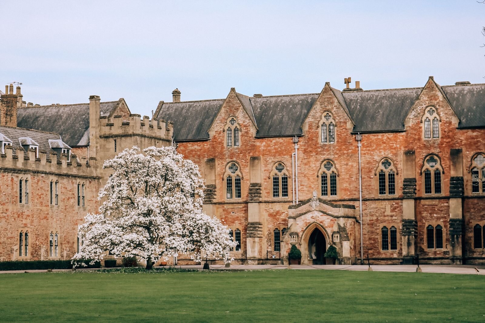 A large red brick building with ornate windows and large doorway at the front. A white blossom tree is in front of it, It's the Bishops Palace in Wells, Somerset