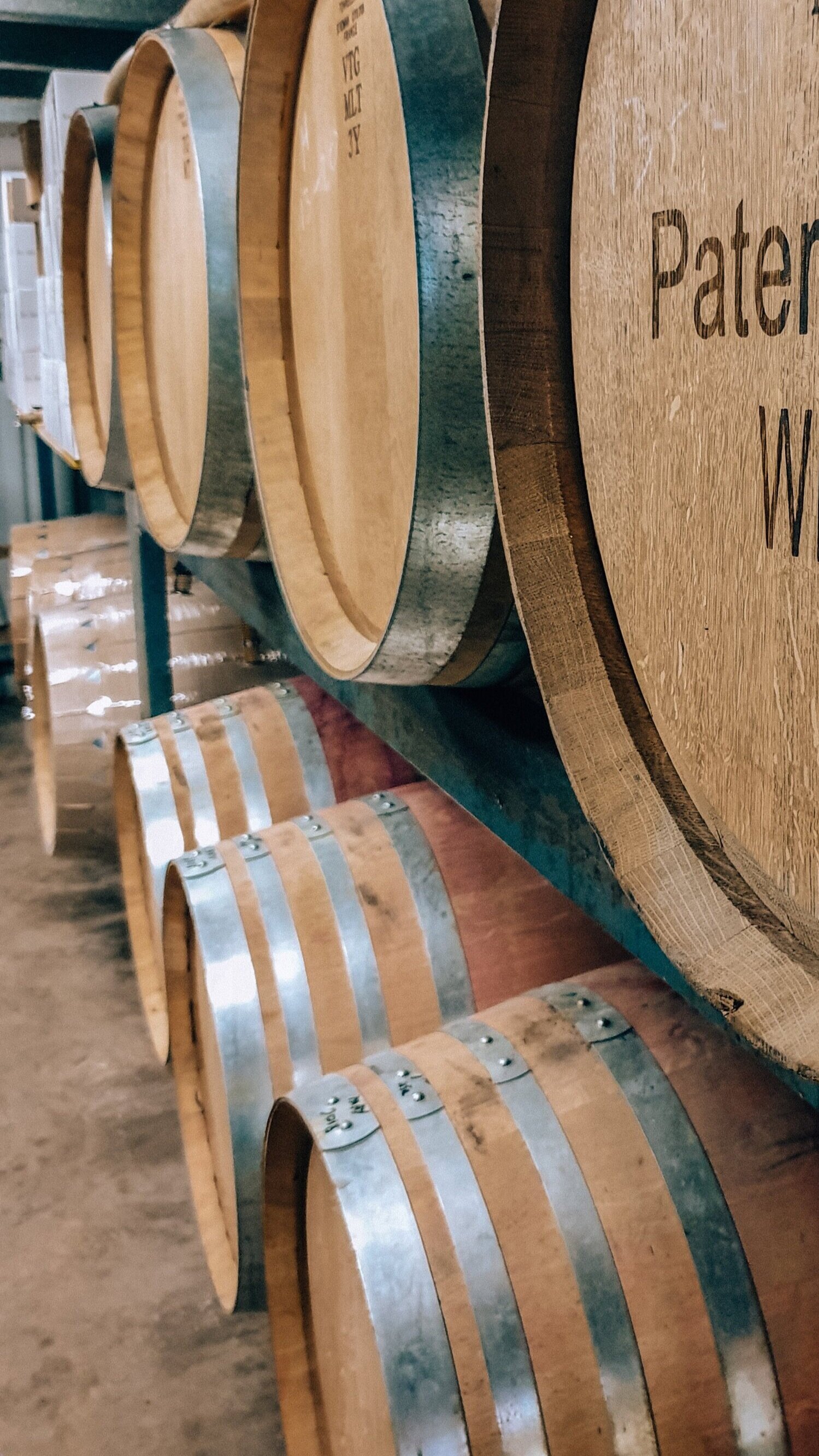 wine barrels at a vineyard
