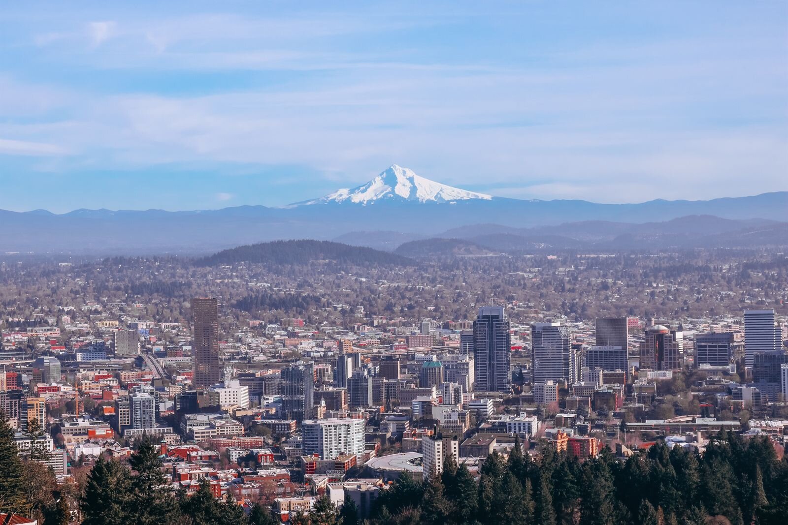 Mount Hood view from Pittock Mansion