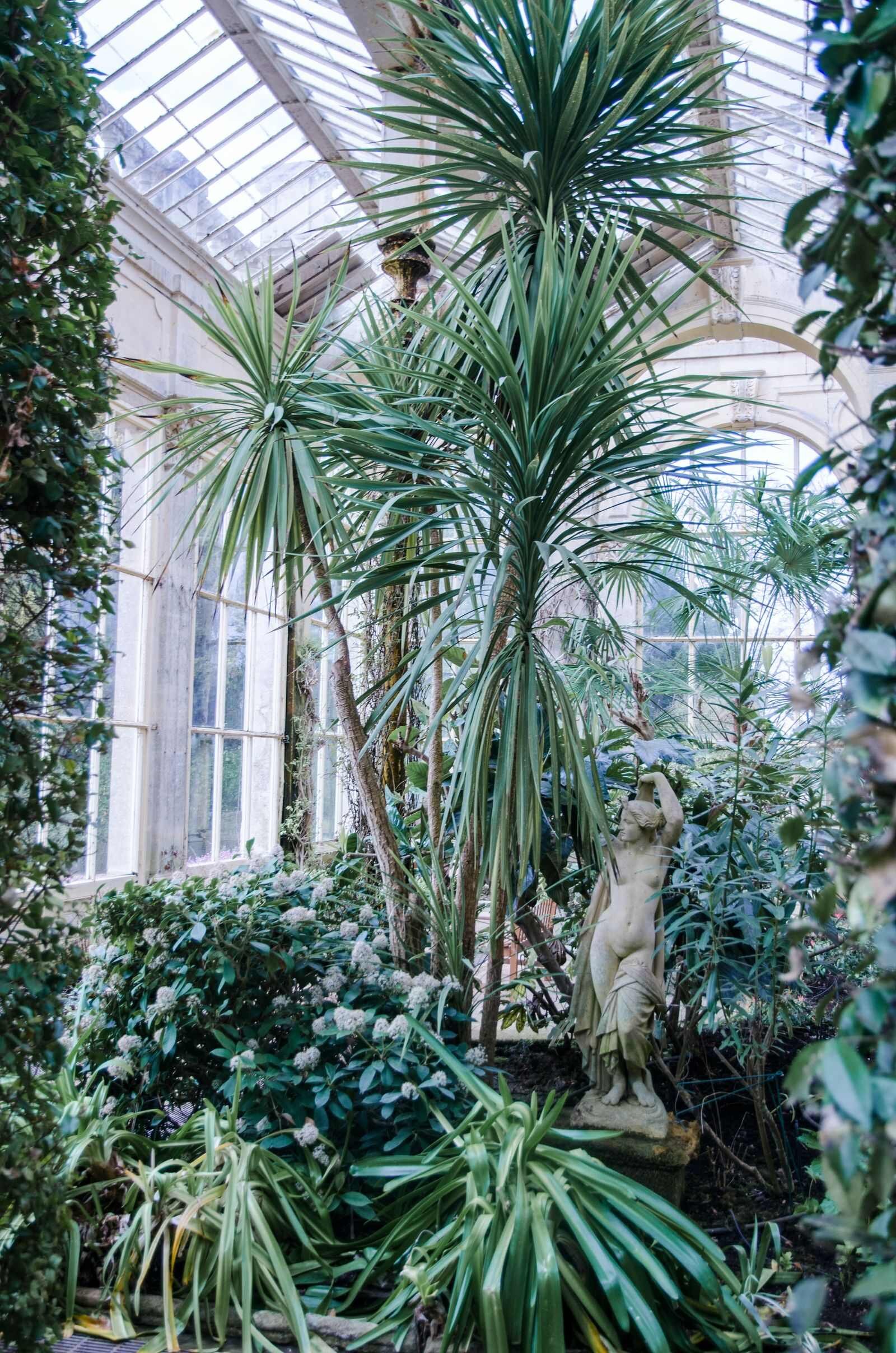 a glasshouse full of green tropical plants and a venue statue