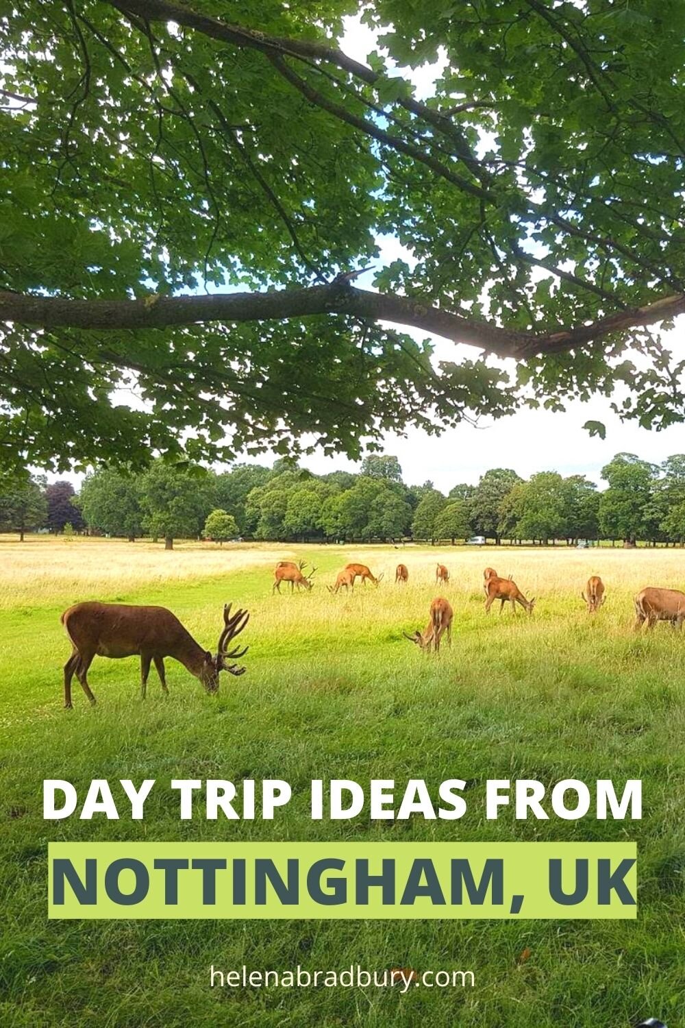 The 30 Best day trips from Nottingham by a local
