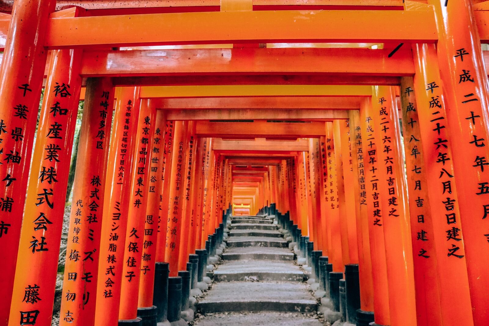 A row of orange torii gates with steps running through the middle at Fushimi Inari Shrine