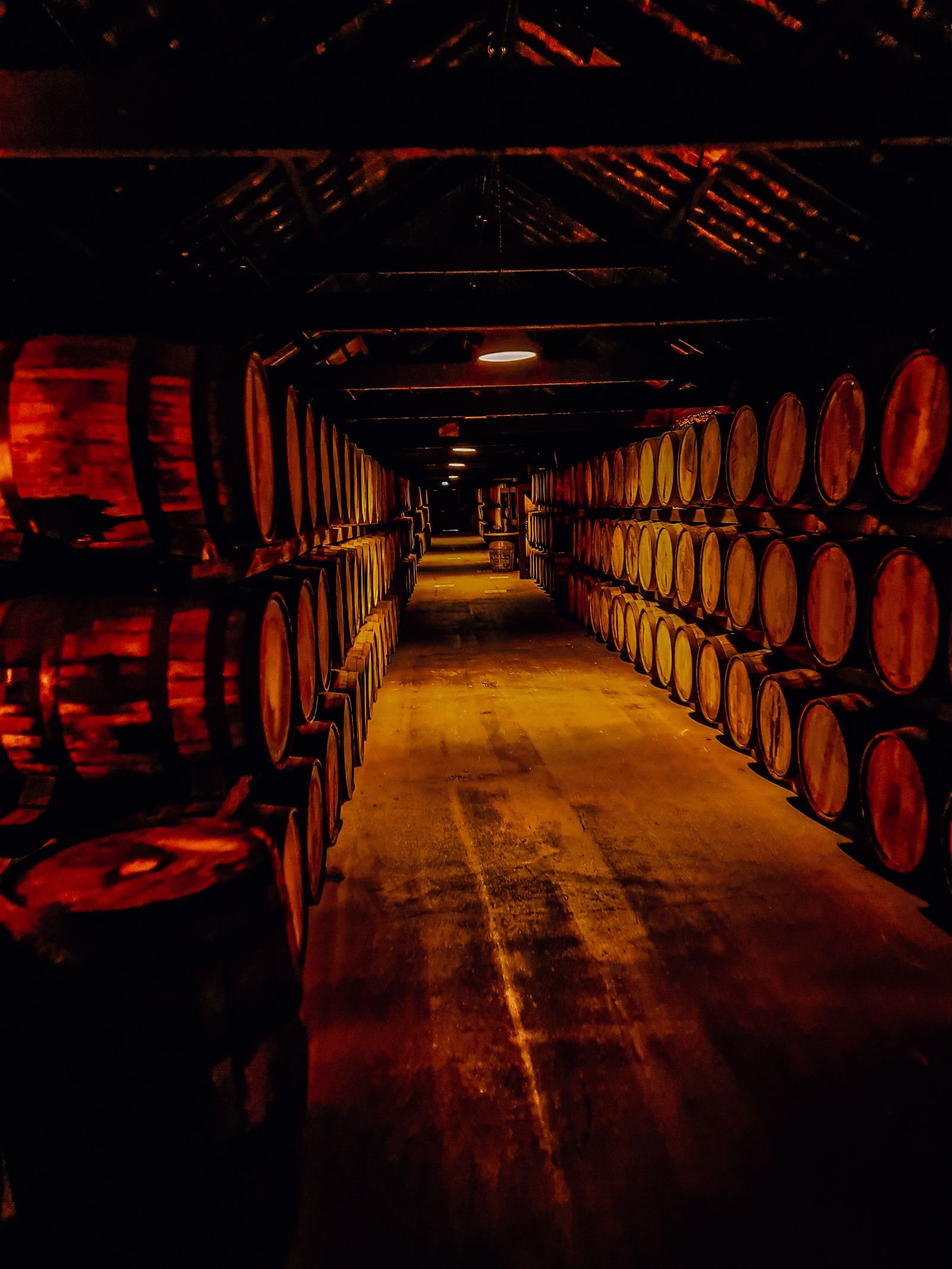  A dark room with wooden Jameson barrels lining each side of the long pathway 