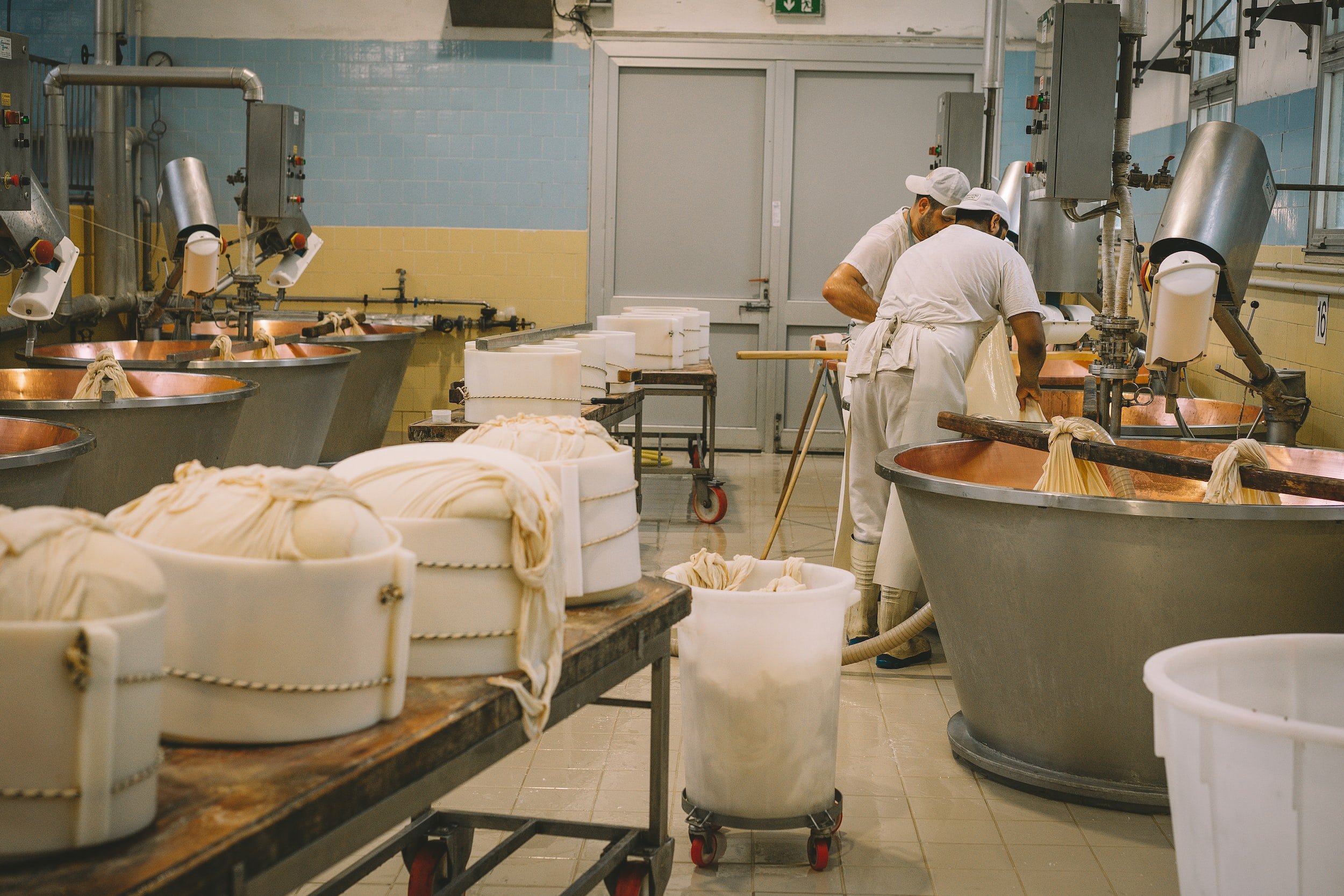 The interior of a cheese factory with many silver machines and two people in white making cheese