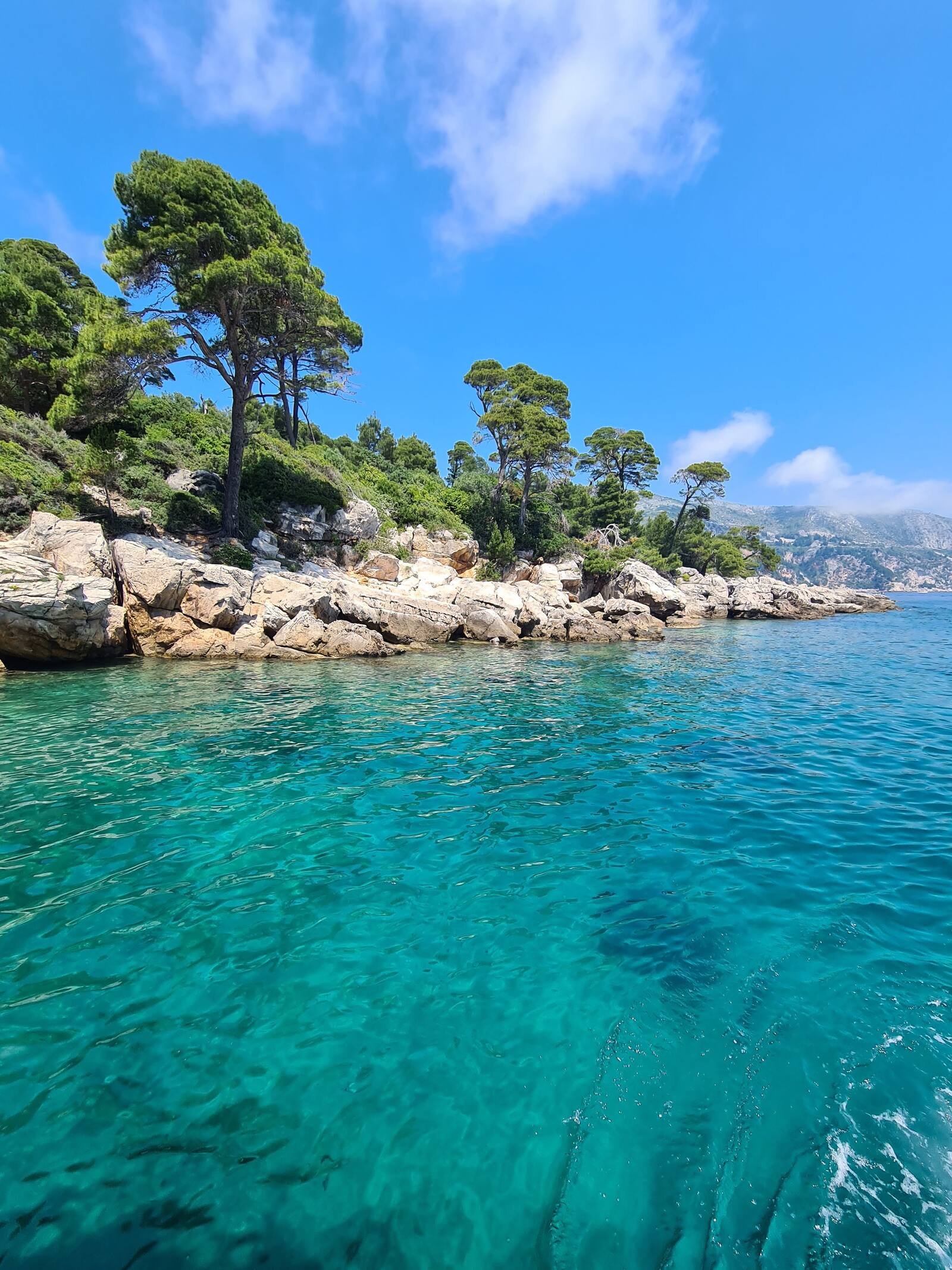 Vibrant turquoise water with rocky shores and trees in the background