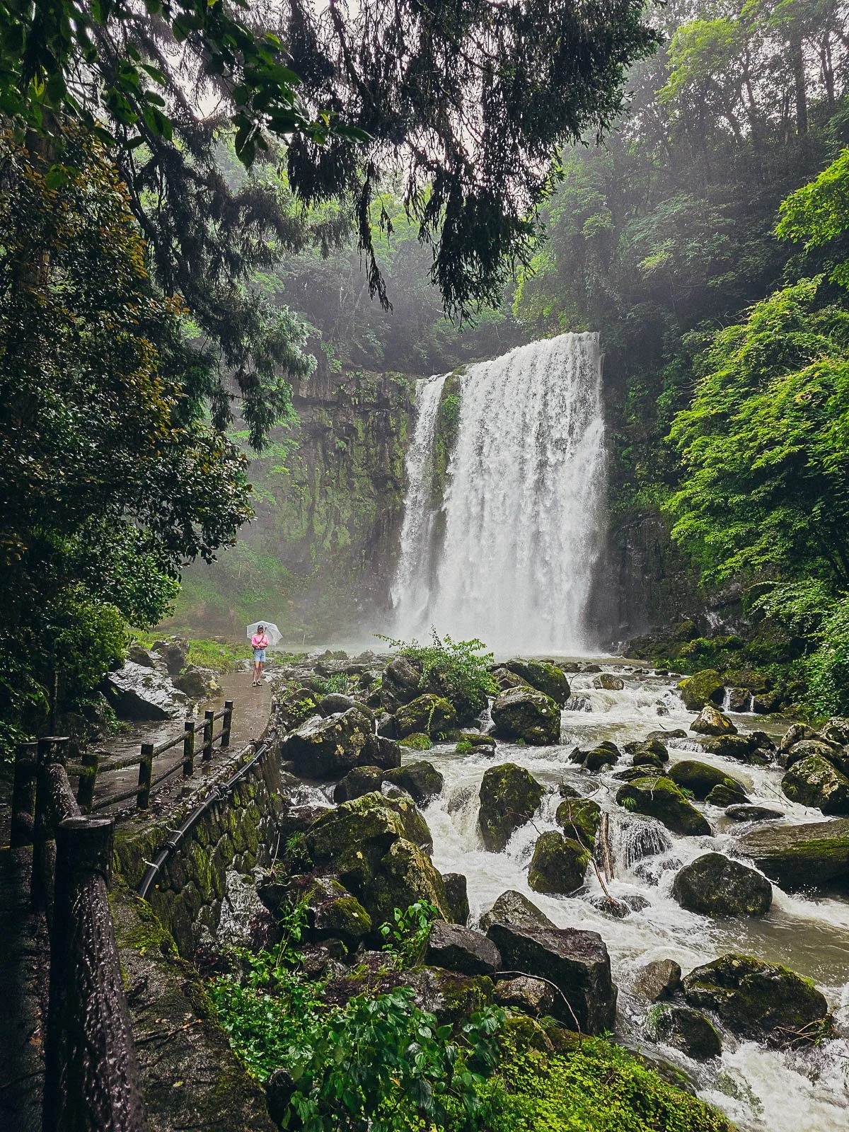 A large waterfall crashing over a rocky gorge into a river filled with boulders. Helena stands at the end of a path closer tot he waterfall in pink, holding an umbrella