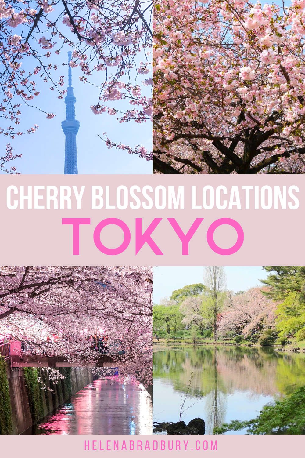 The best places to see cherry blossoms in Tokyo
