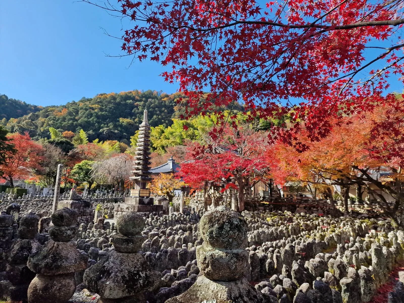 The best places to visit in Kyoto in autumn — Helena Bradbury